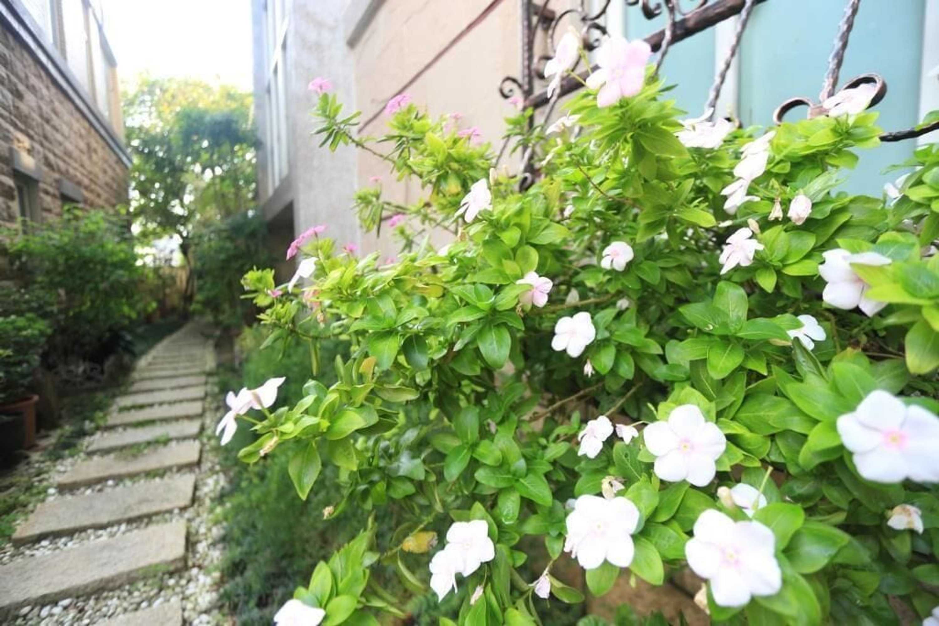 Gift card for Dan Dan House