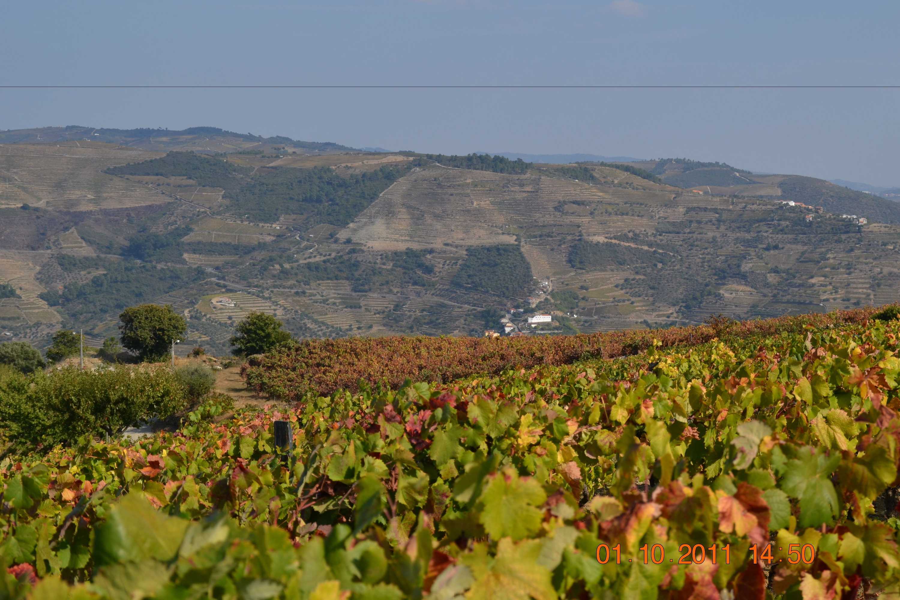 Gift card for Quinta Dos Espinheiros Gift card for Quinta Dos Espinheiros