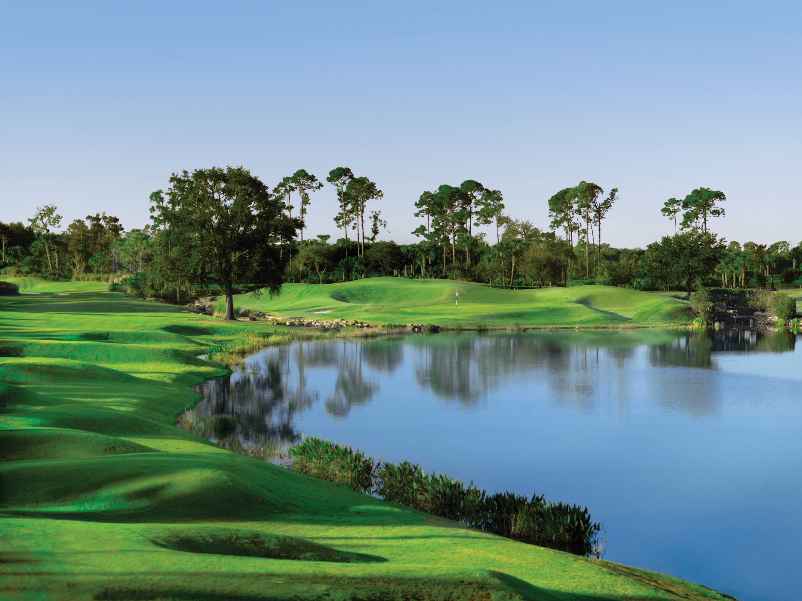Gift card for Naples Grande Beach Resort