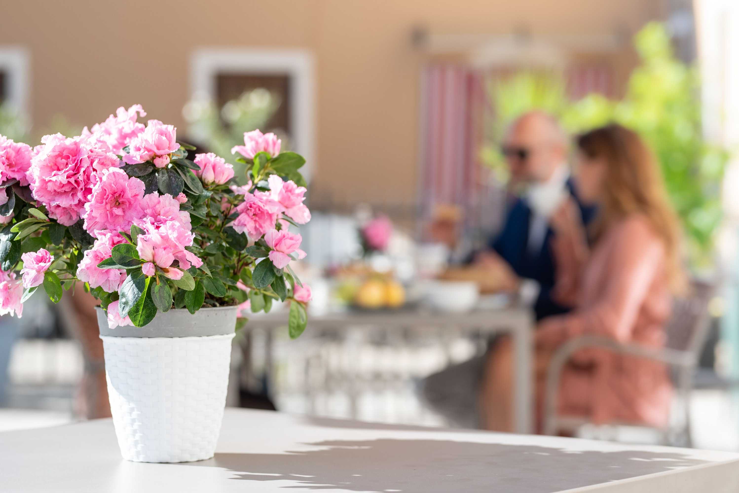 Gift card for Villa di Cazzano - Bioluxury Living Gift card for Villa di Cazzano - Bioluxury Living