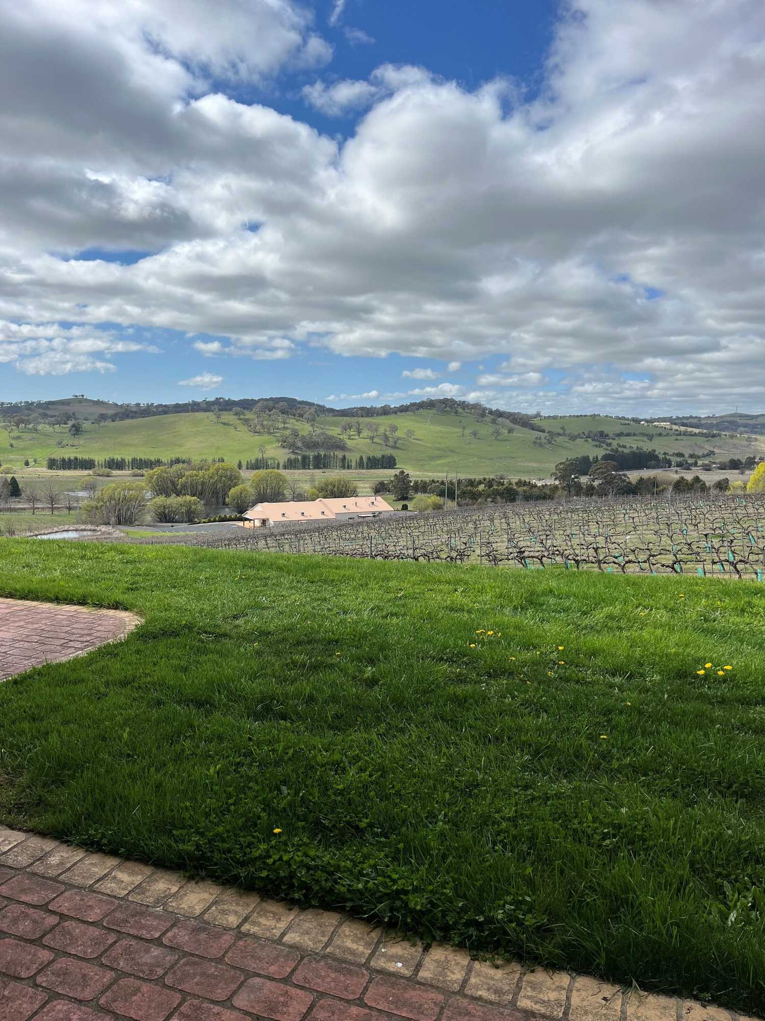 Gift card for Turners Vineyard Gift card for Turners Vineyard