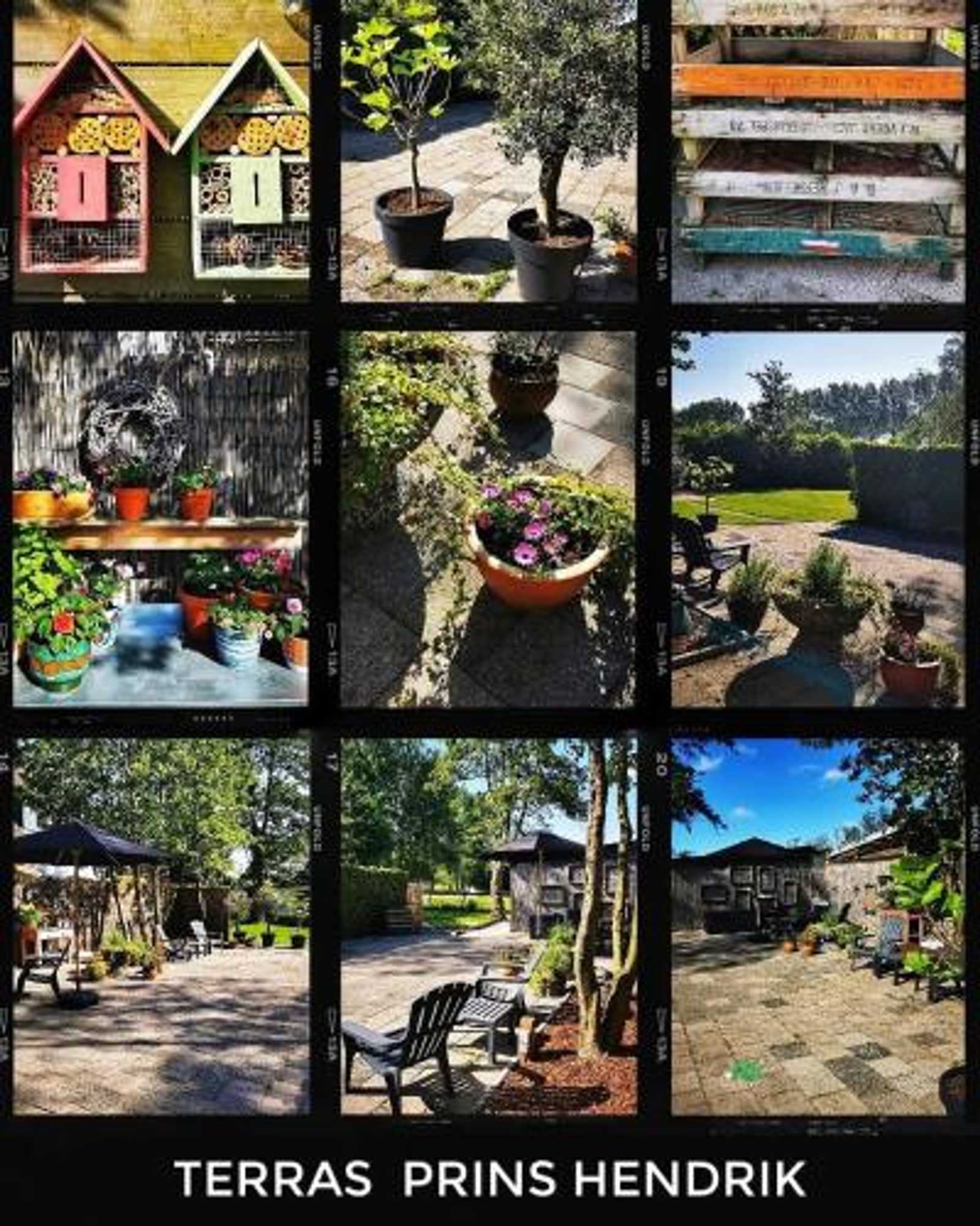 Gift card for Bed & Breakfast Prins Hendrik (zuidschermer) Gift card for Bed & Breakfast Prins Hendrik (zuidschermer)