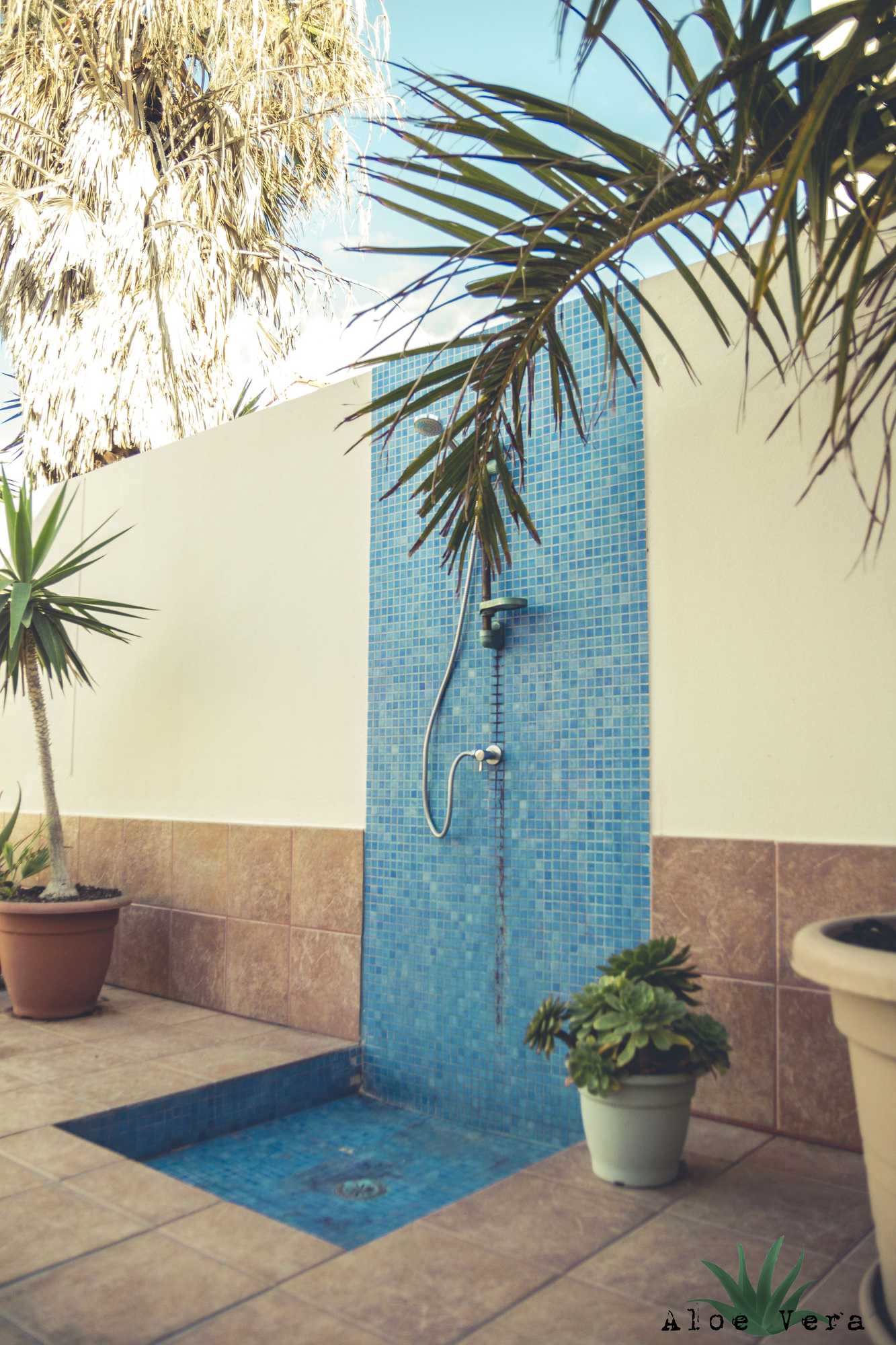 Gift card for Aloe Vera Shared House - Hostel Gift card for Aloe Vera Shared House - Hostel