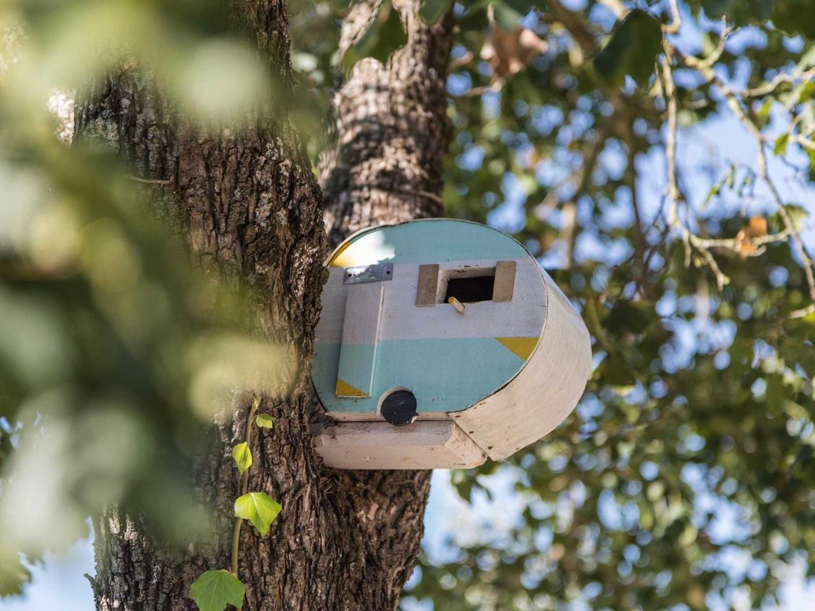 Gift card for Holiday Home Istrian Hideaway