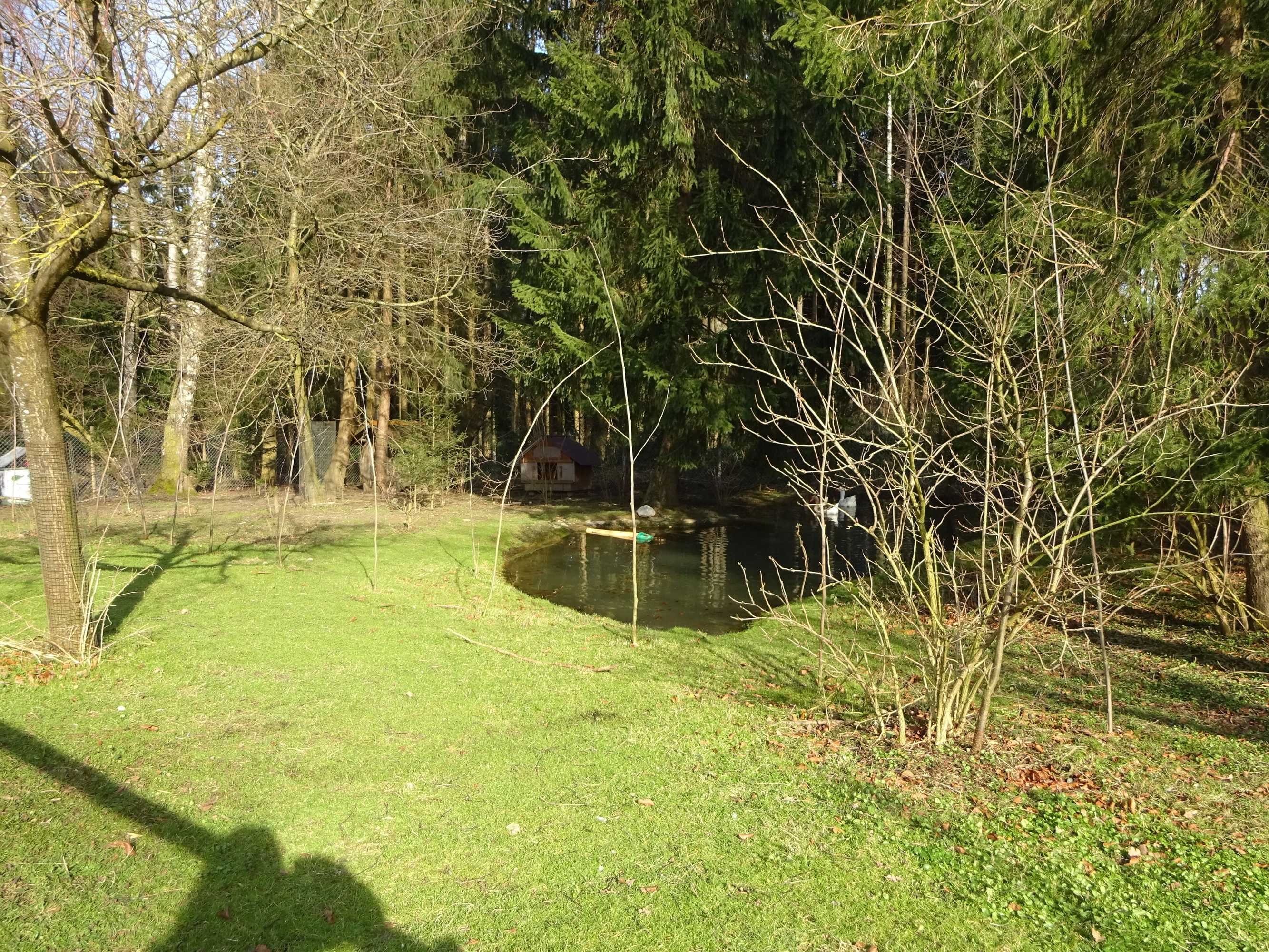 Gift card for Rehalp