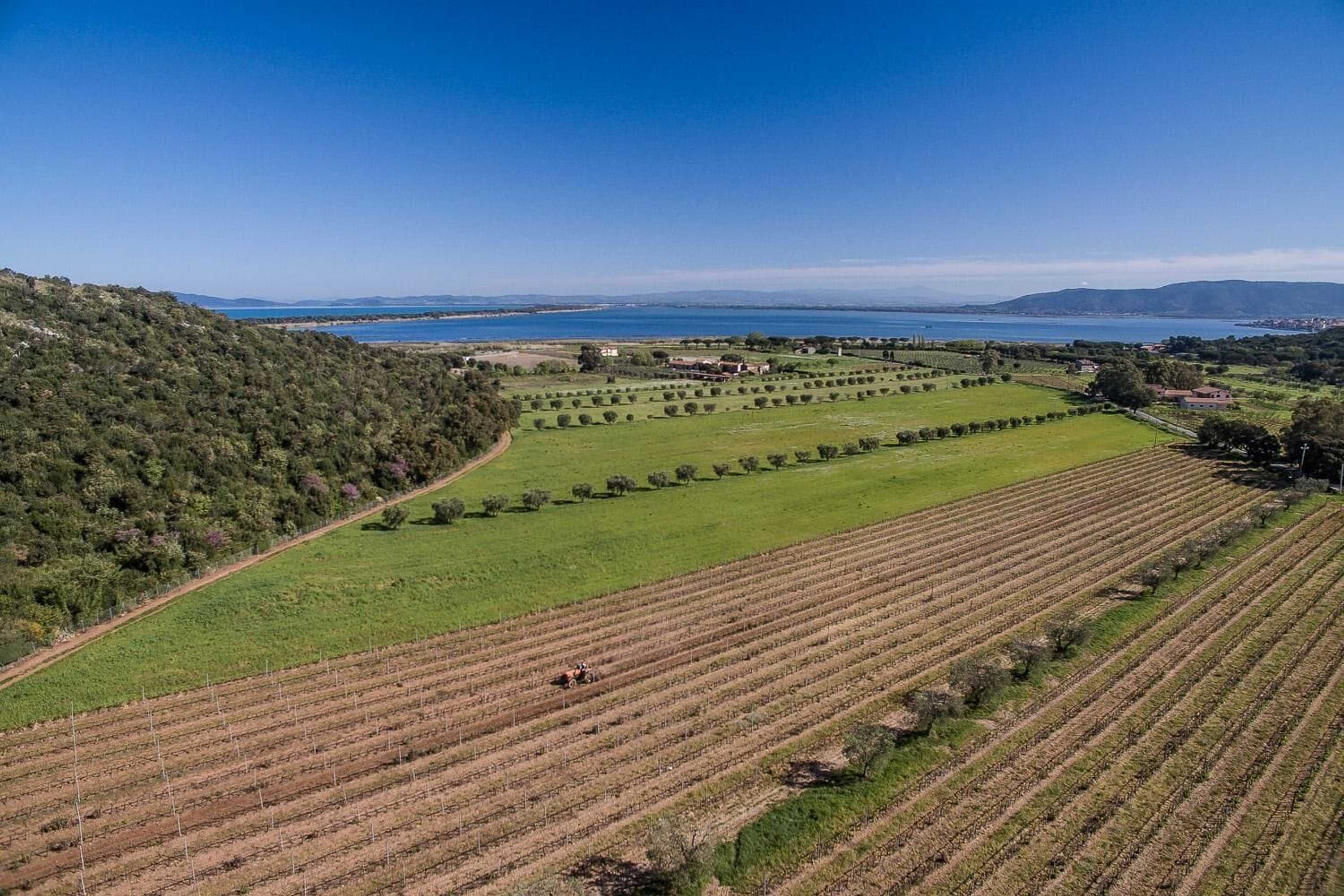 Gift card for Agriturismo Monte Argentario Gift card for Agriturismo Monte Argentario
