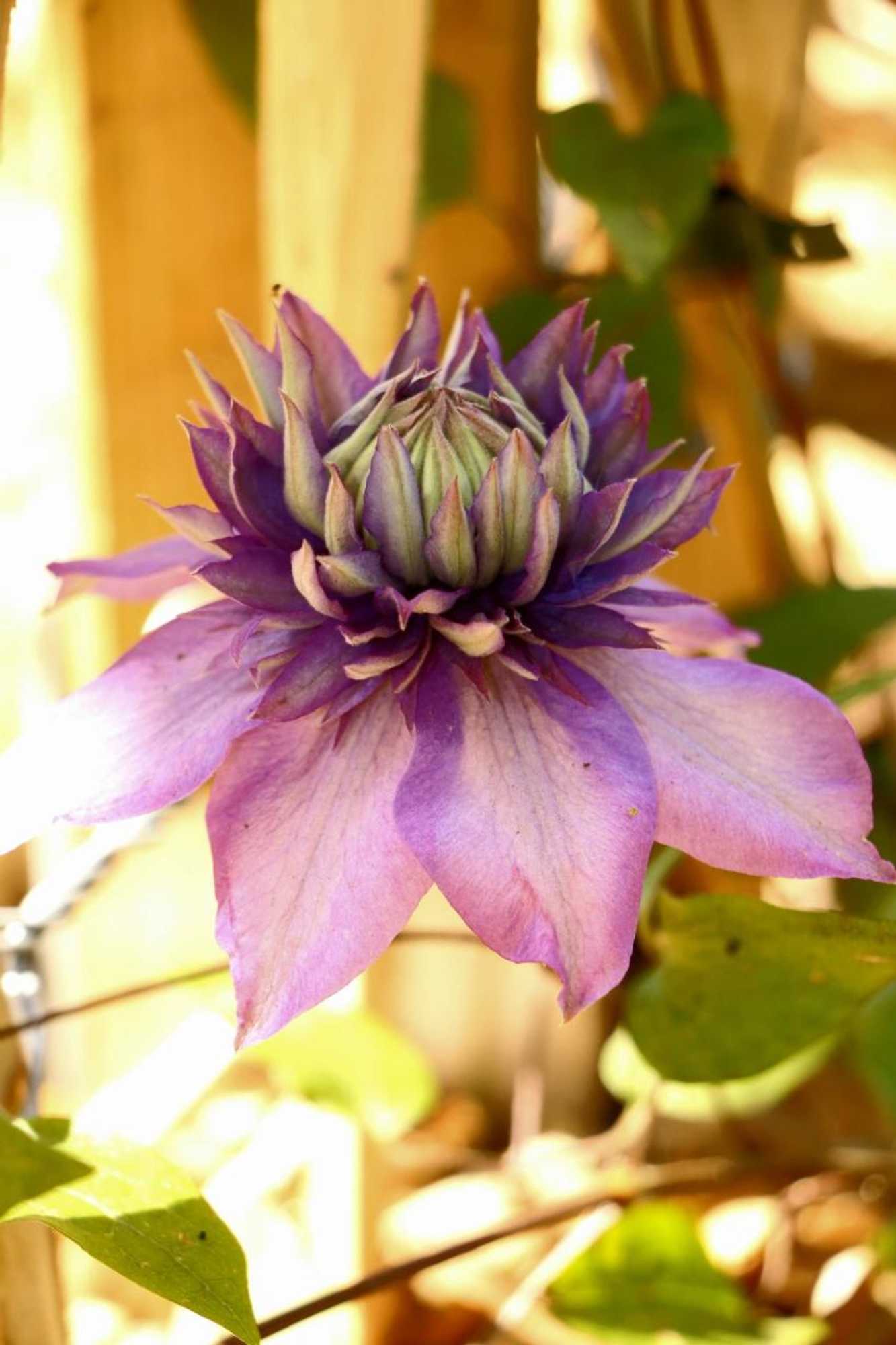 Gift card for Hotel Restaurant 