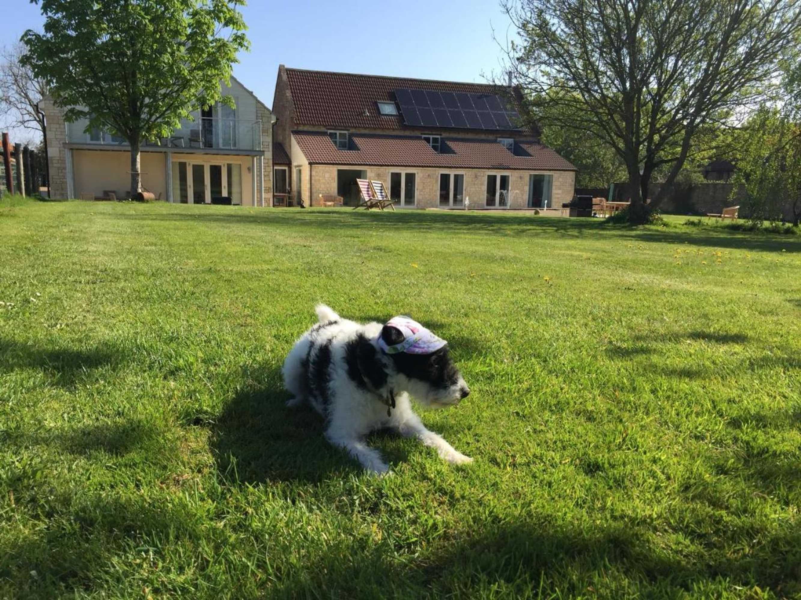 Gift card for The Winning Post, Bruton