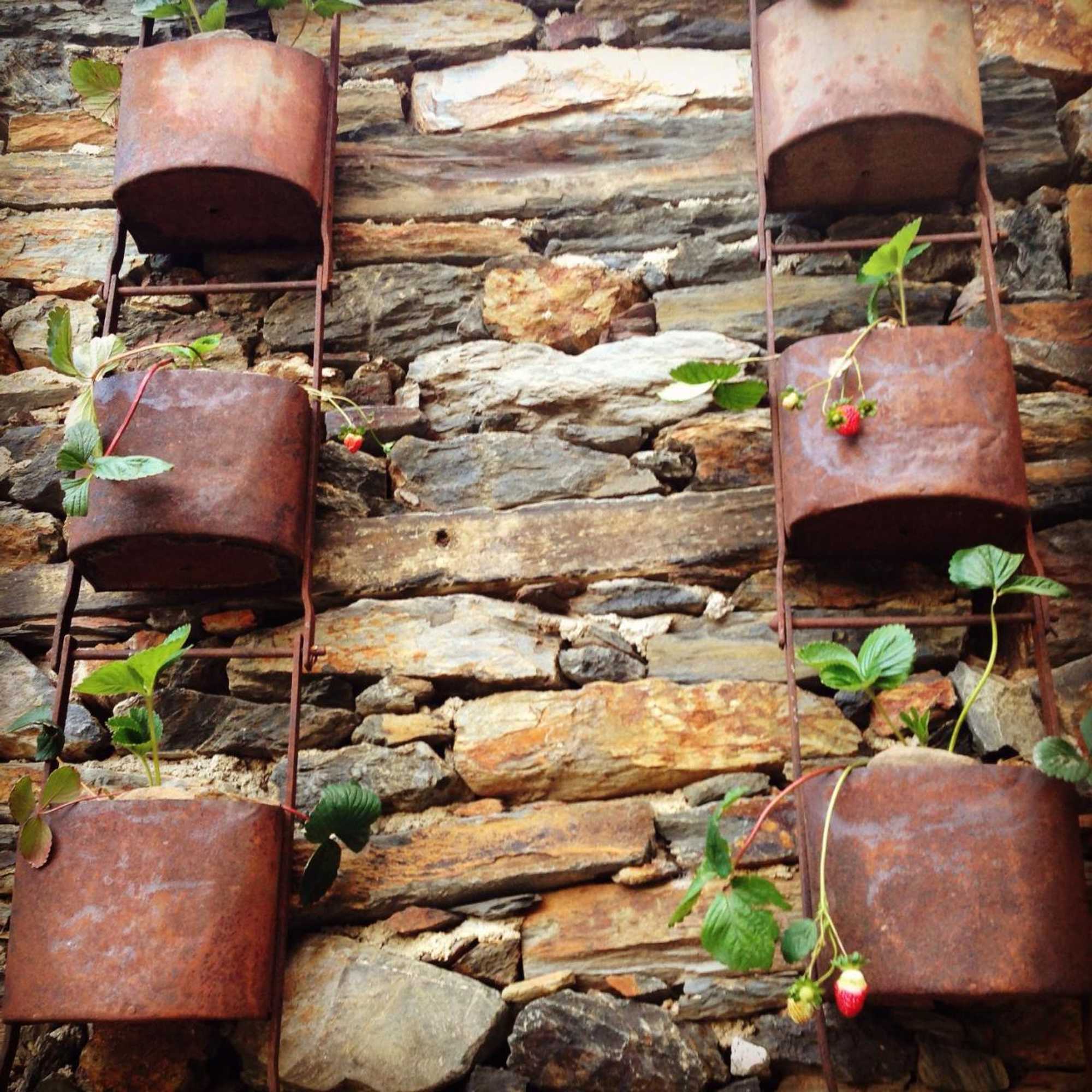 Gift card for Casa Das Quintas