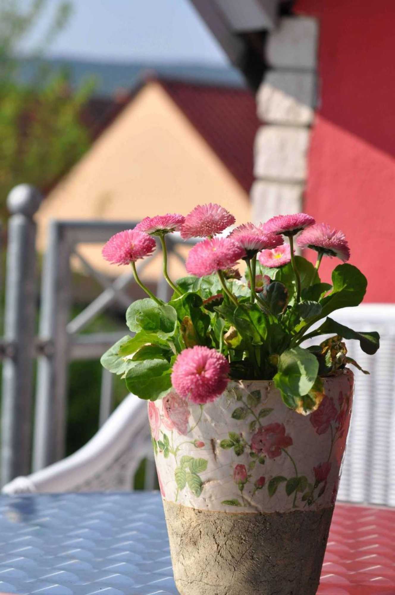 Gift card for Wohnen Mit Herz