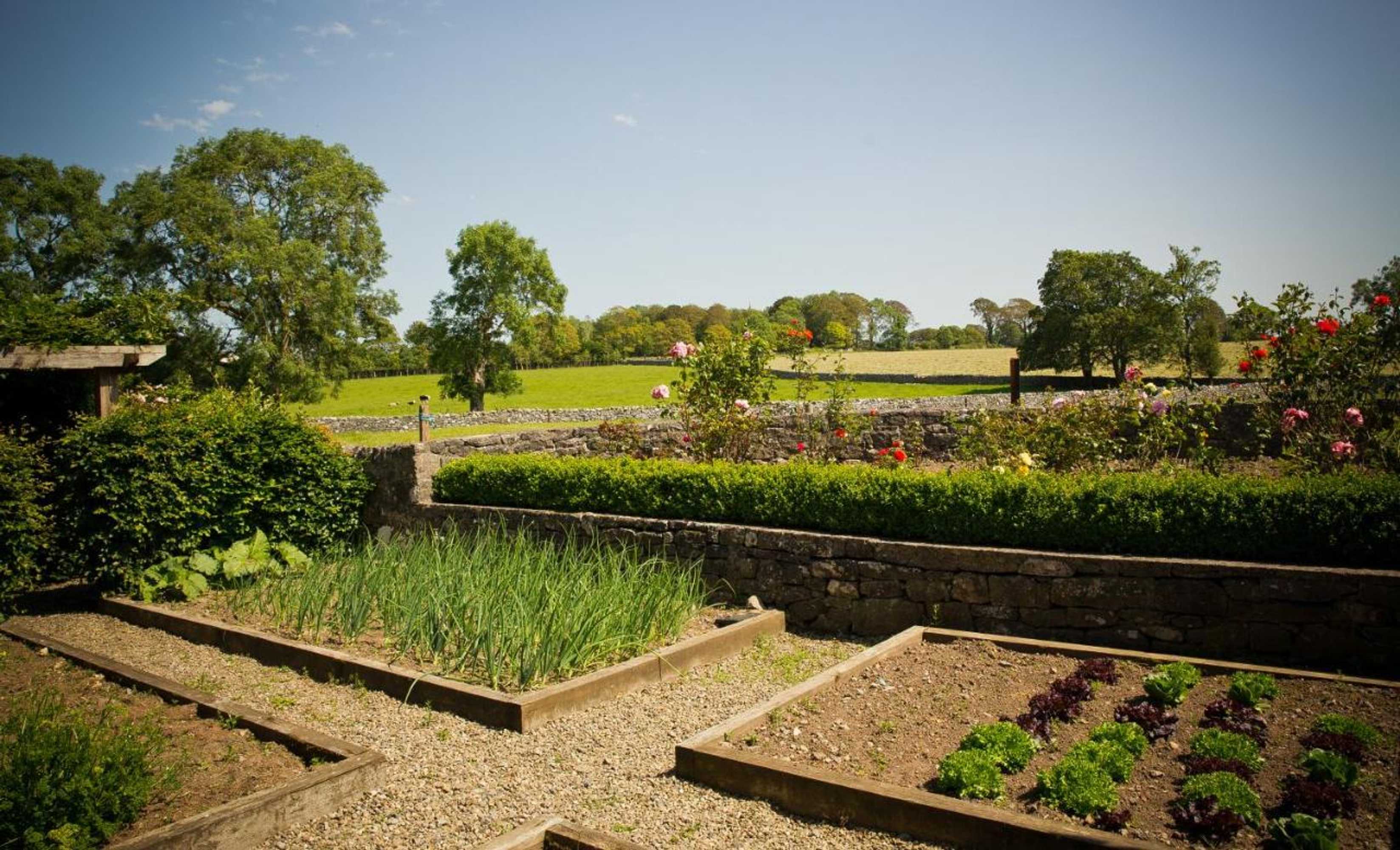 Gift card for Cahergal Farmhouse B&b