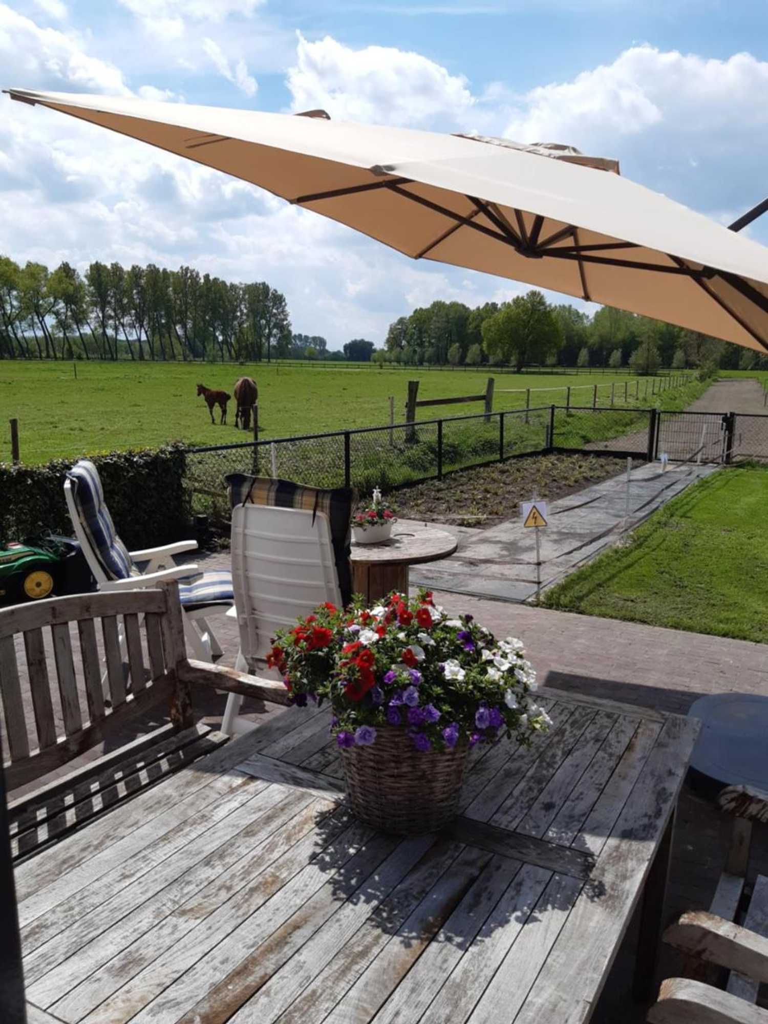 Gift card for De Weije Wereld