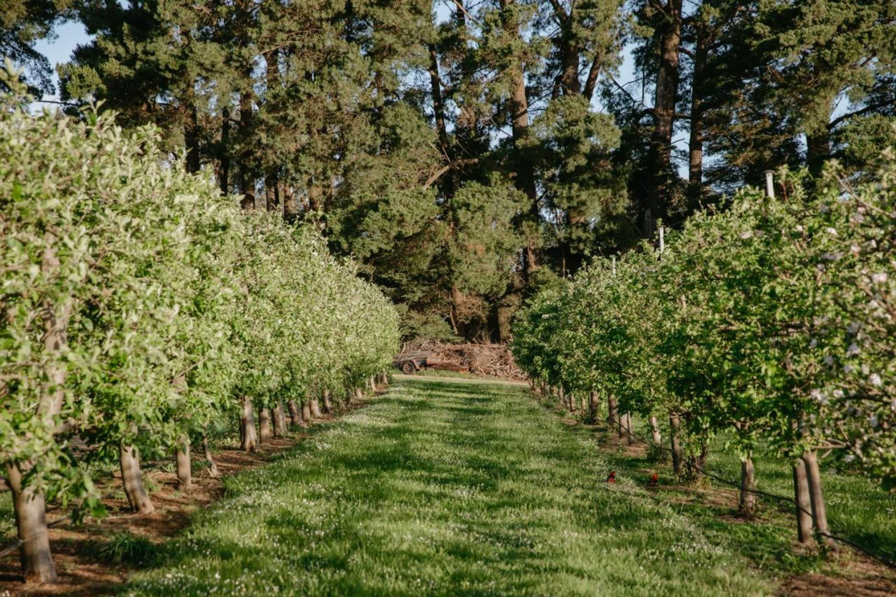 Gift card for Hart's Farm