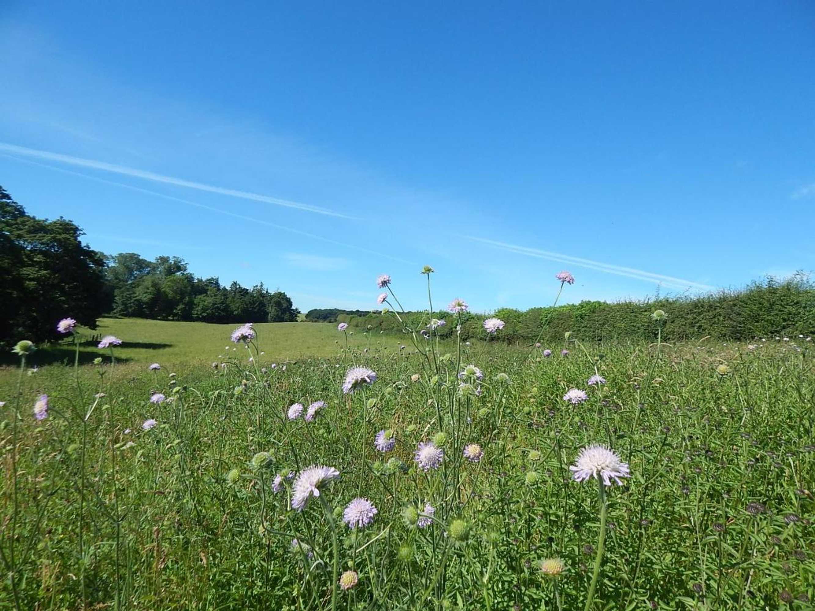 Gift card for Orchard Hideaway