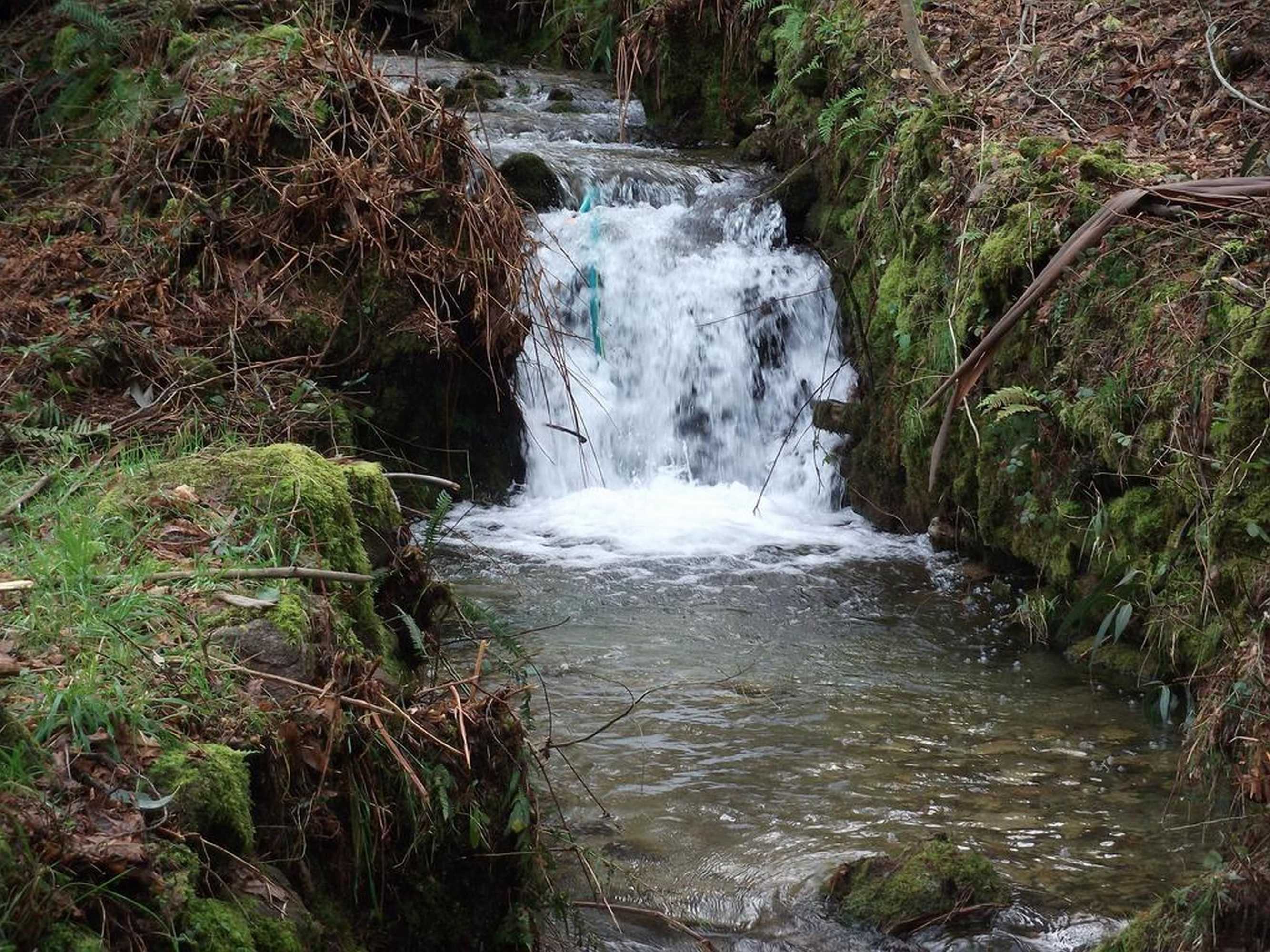 Gift card for Quinta Dos Caibrais