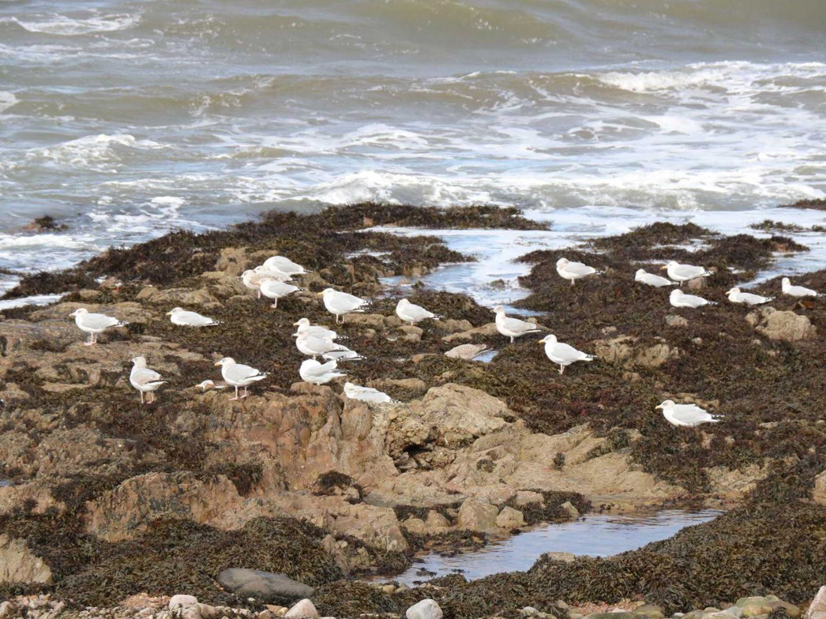 Gift card for Harbour View