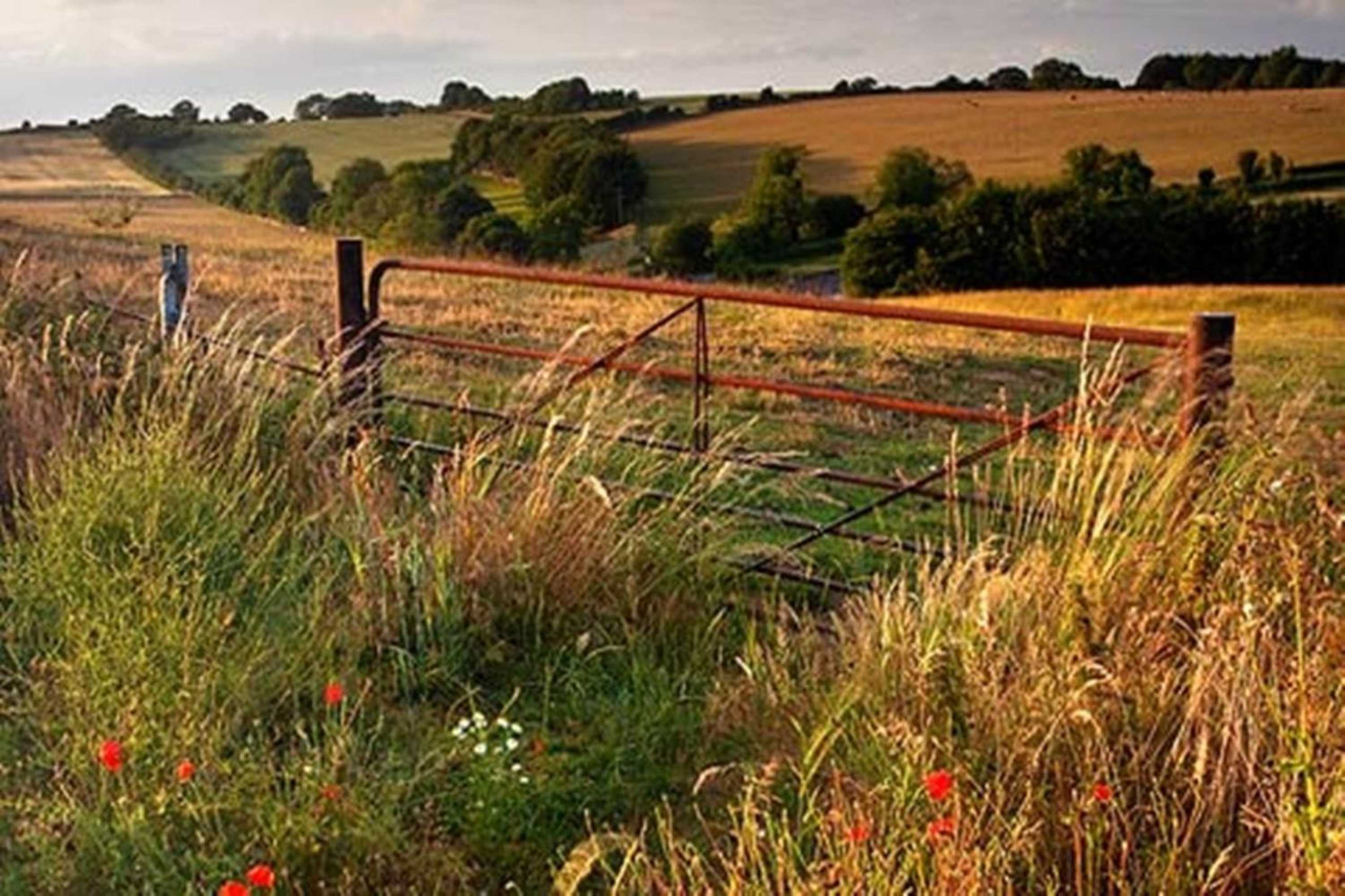 Gift card for La Fosse at Cranborne