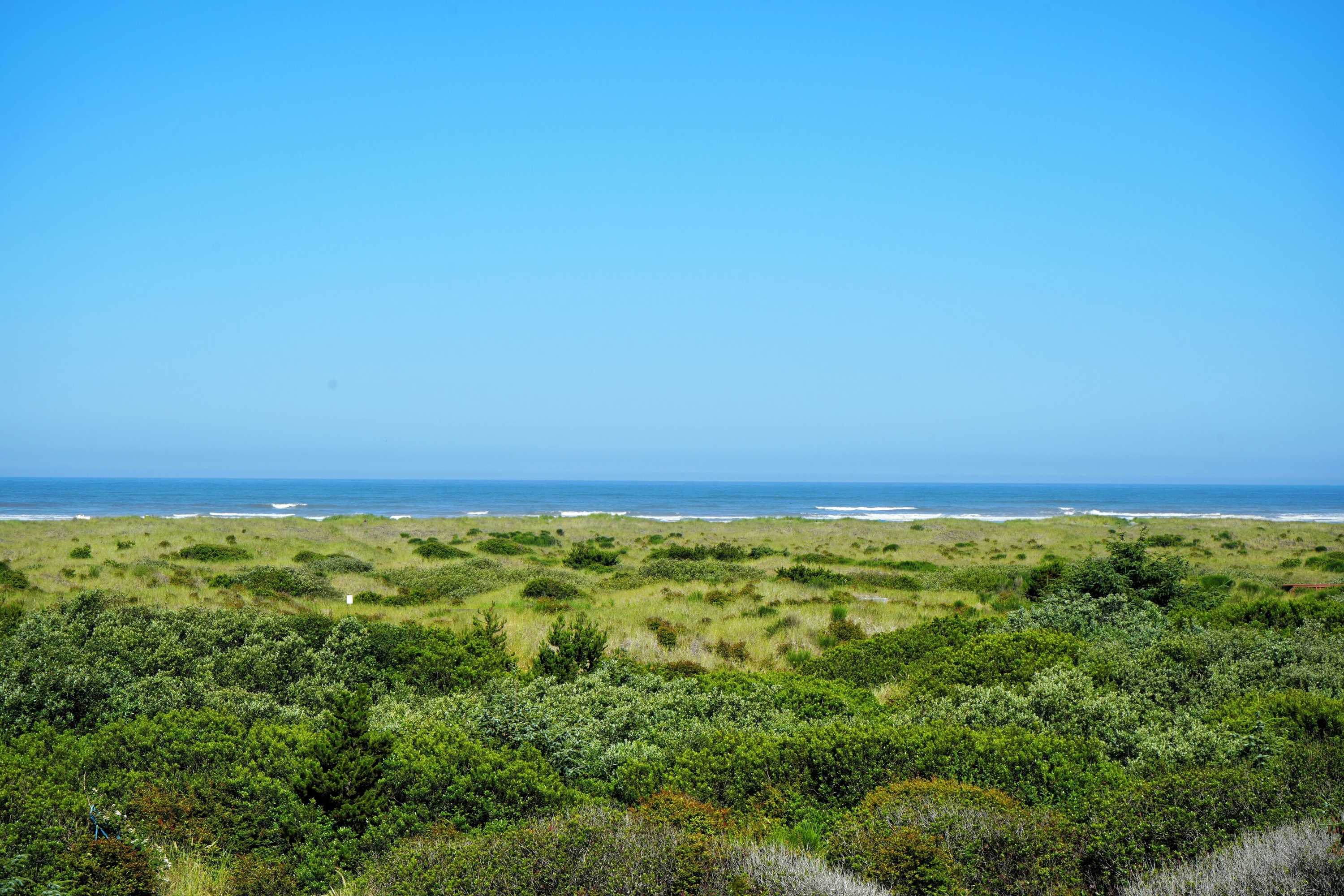 Gift card for Ocean Paradise Hotel & Resort