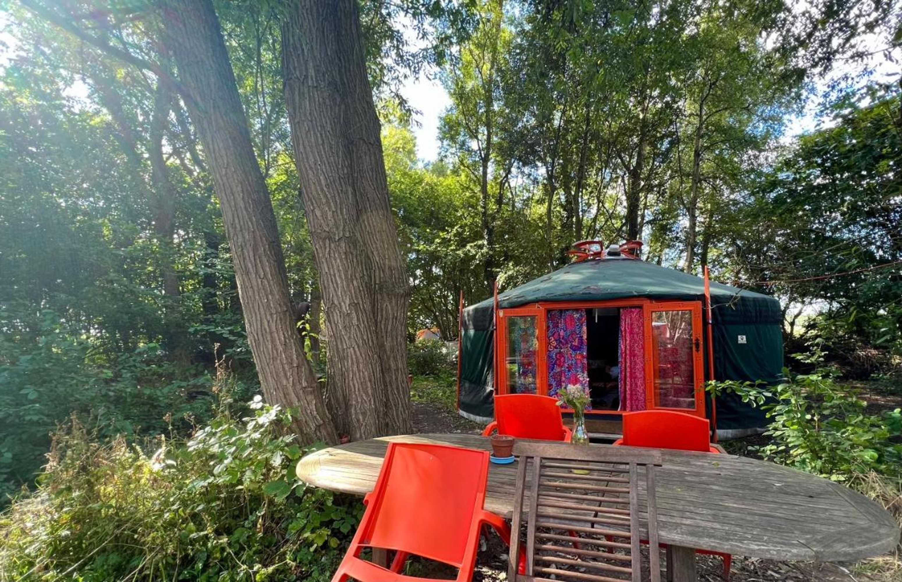 Gift card for Eco-Camping De Helleborus, Yurt, Bell & Safari Tent, Pipo, Caravans, Dorms And Units Gift card for Eco-Camping De Helleborus, Yurt, Bell & Safari Tent, Pipo, Caravans, Dorms And Units