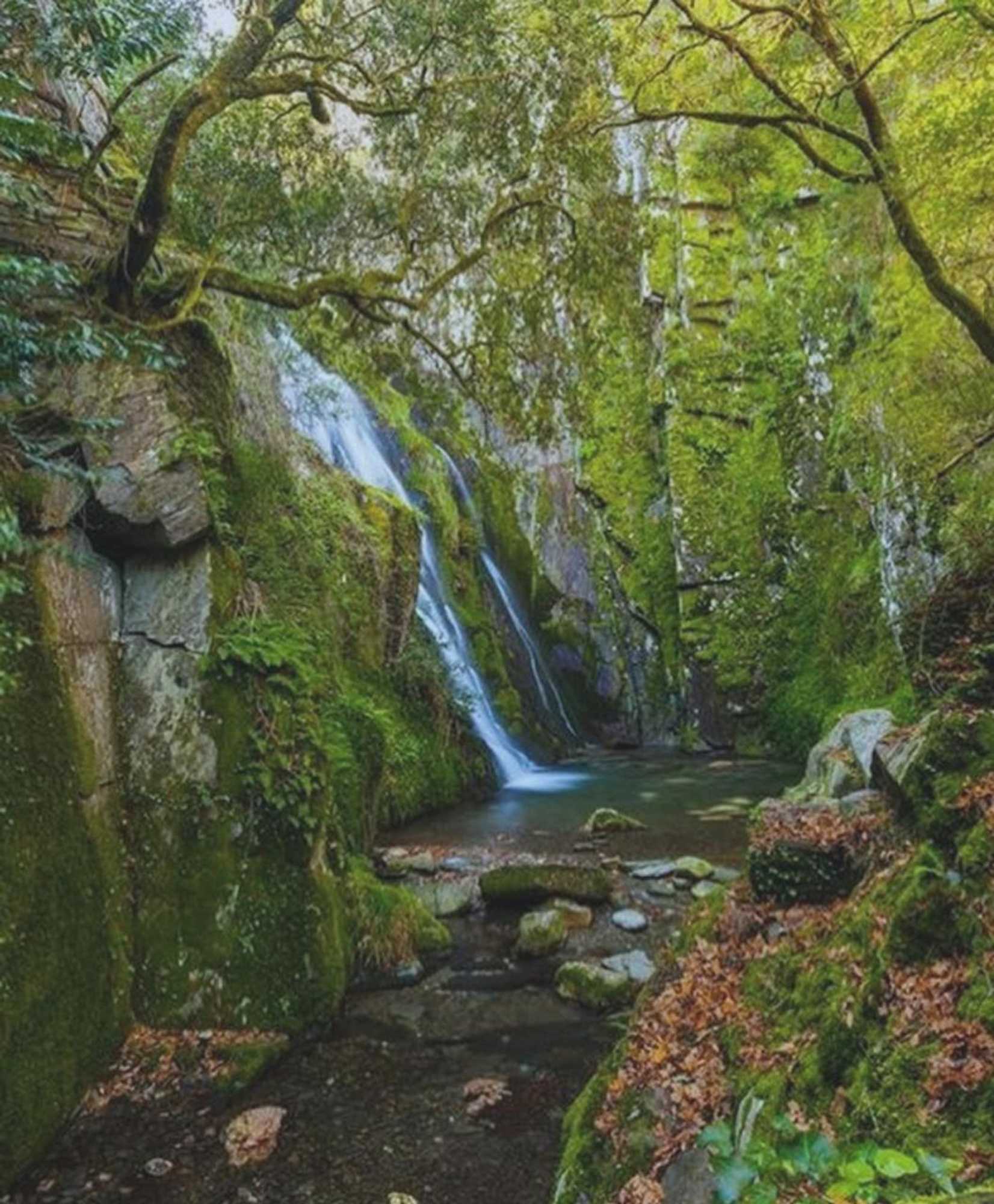 Gift card for Fonte d' Amandos