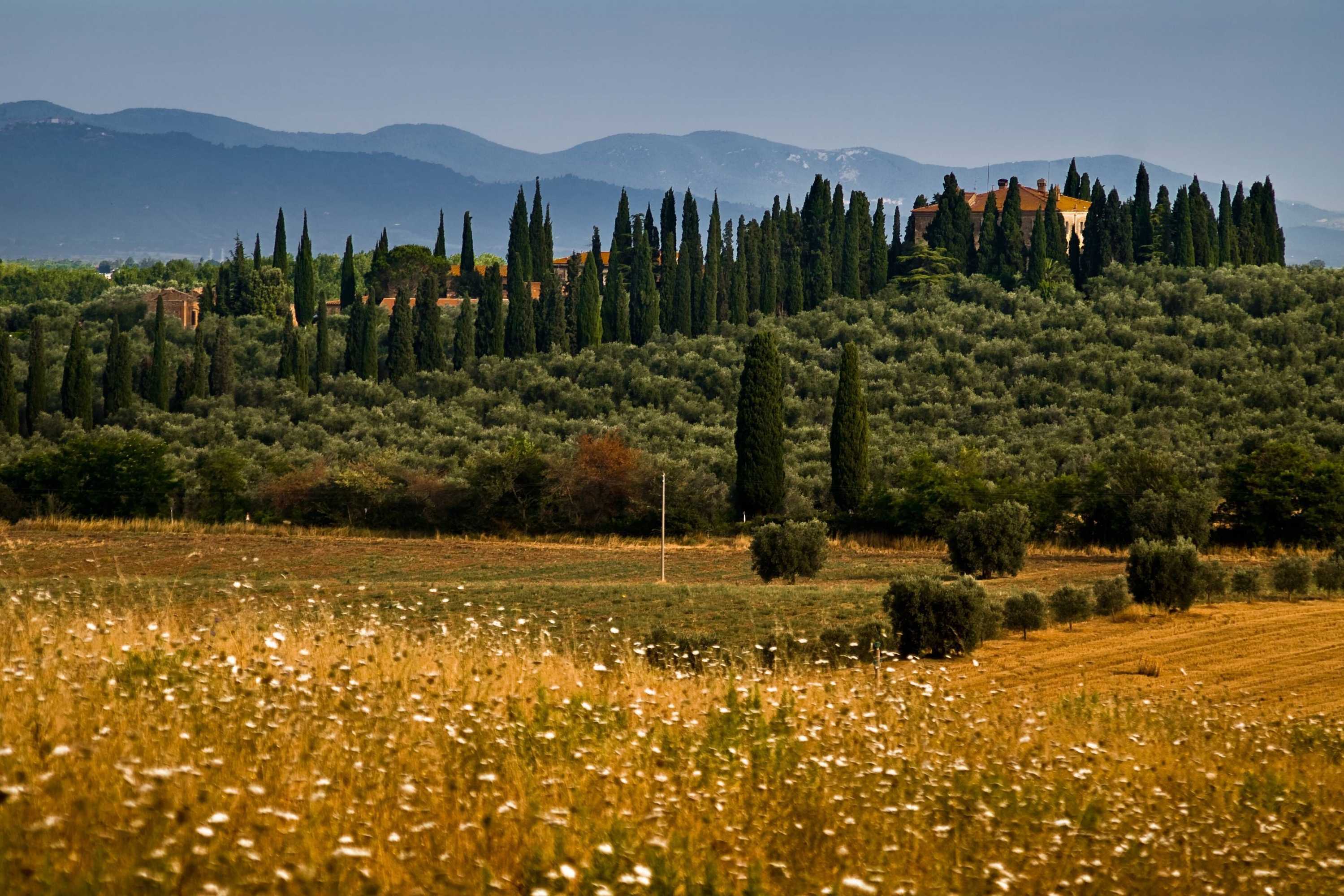Gift card for Tenuta di Poggio Cavallo Gift card for Tenuta di Poggio Cavallo
