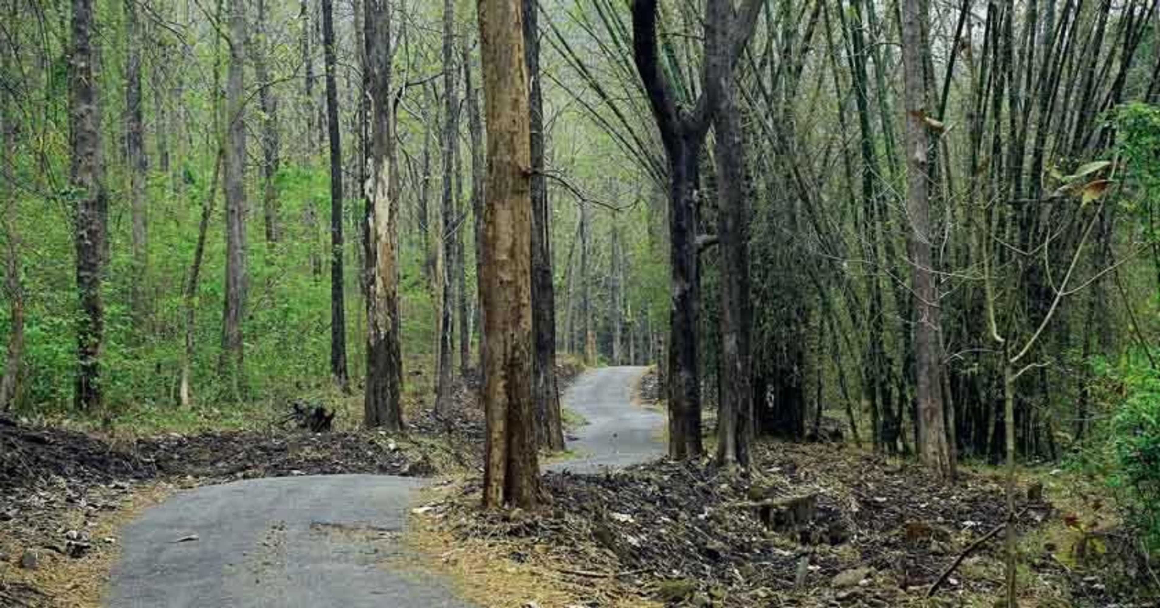 Gift card for Thenmala Heritage