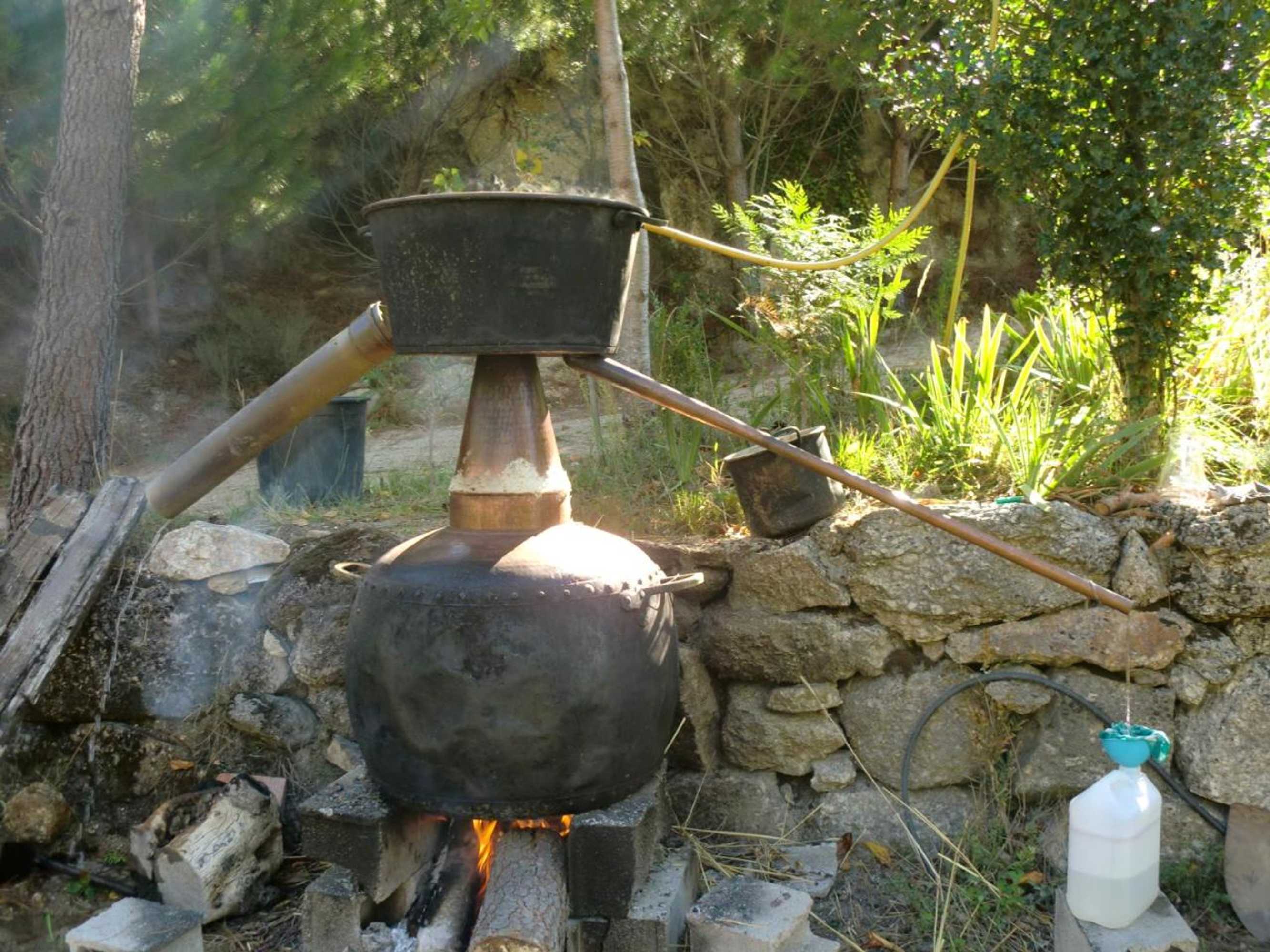 Gift card for Quinta Do Circo - Serra Da Estrela - Turismo Rural