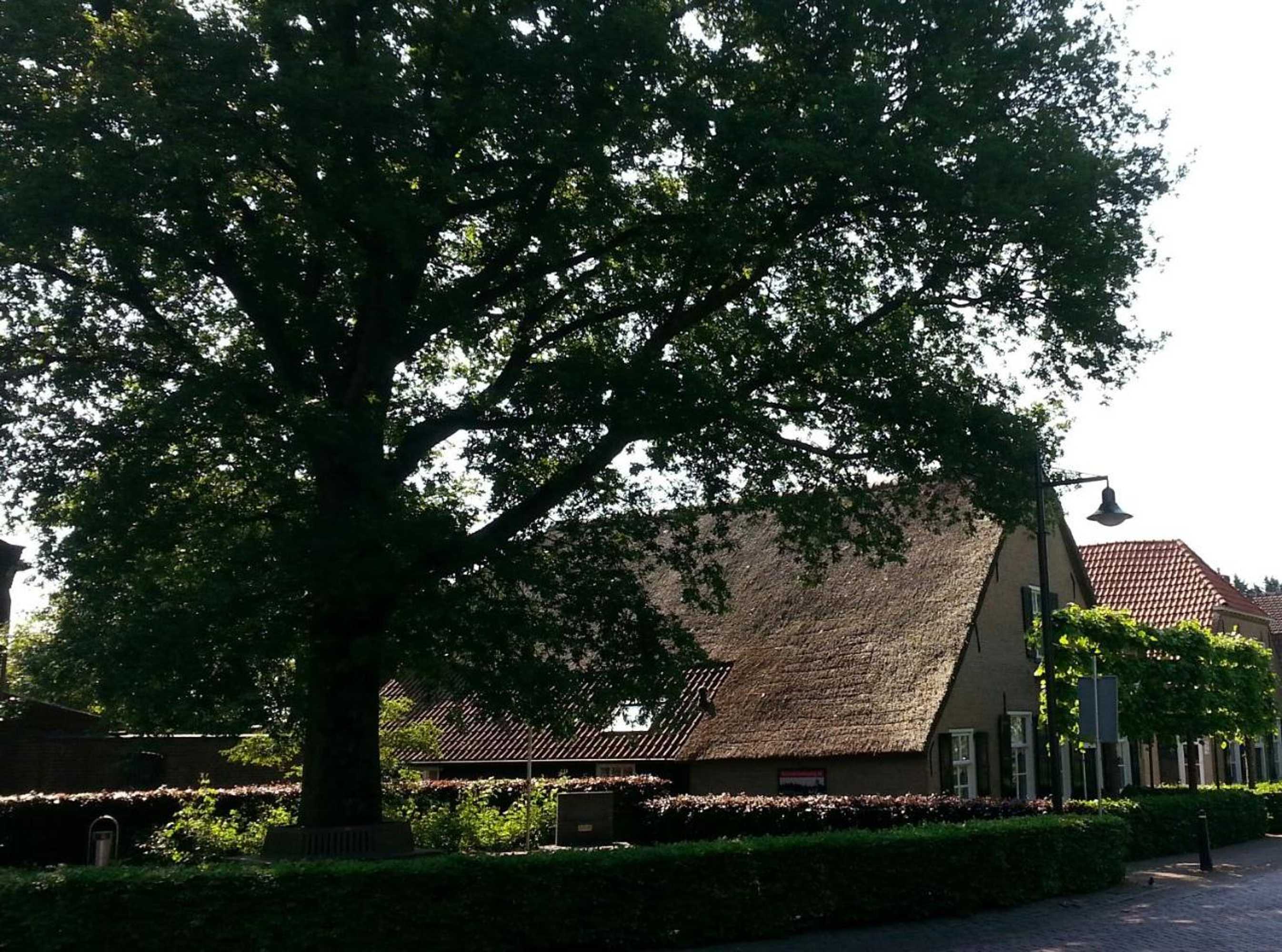 Gift card for B & B De Pimpelmees