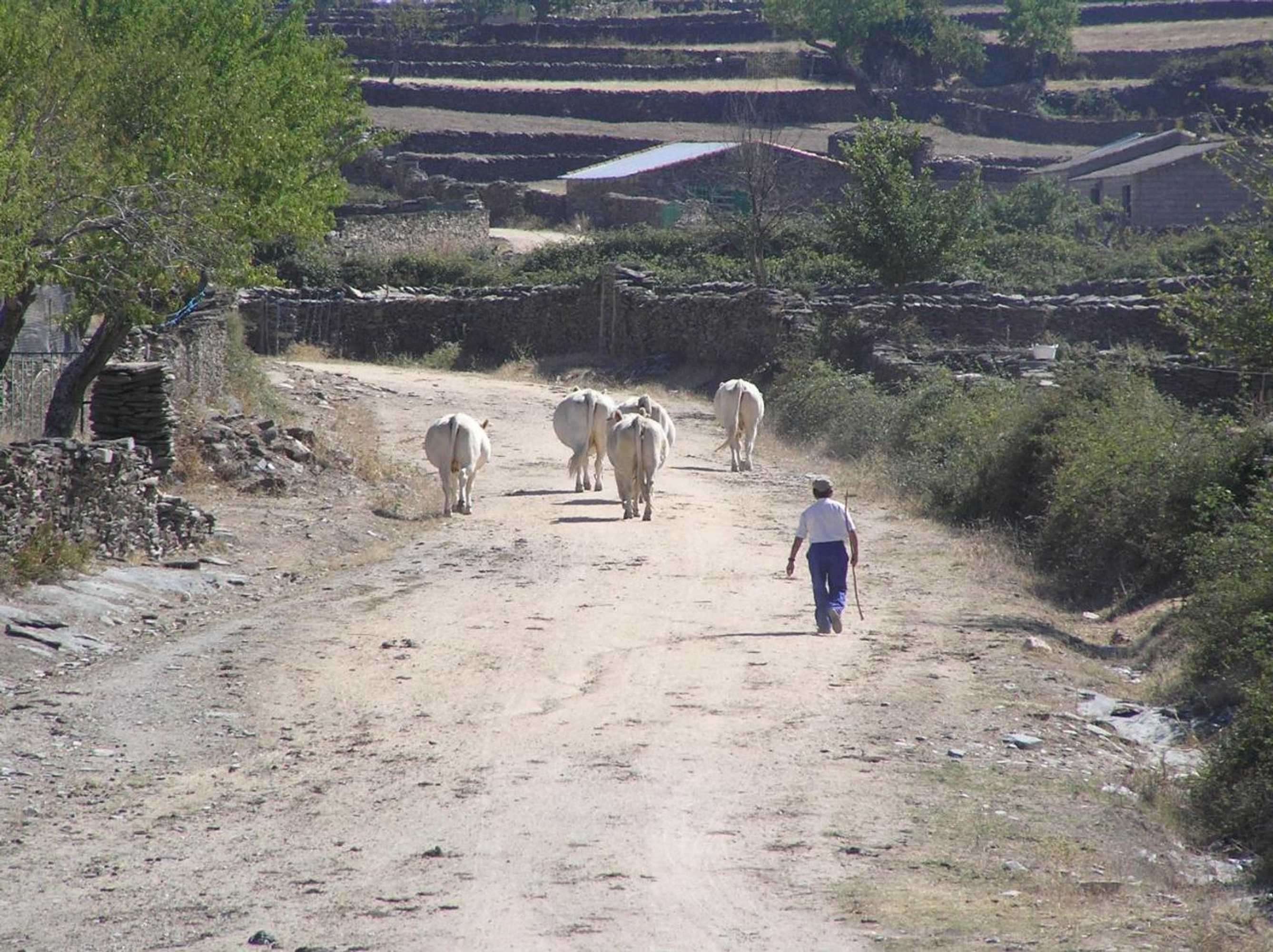 Gift card for Casa Obdulia