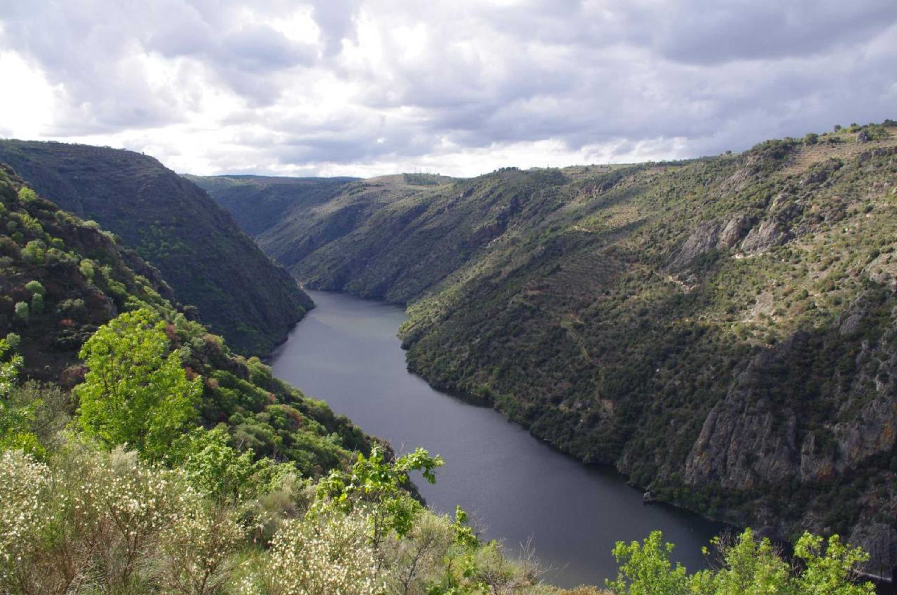 Gift card for Casa Rural El Olivo / El Almendro