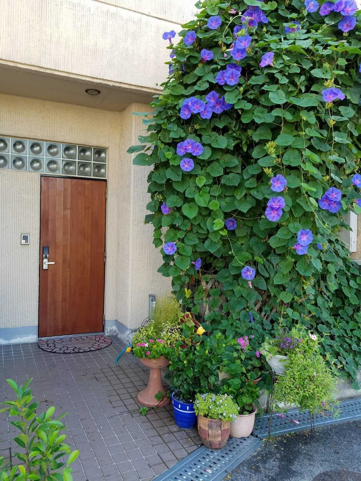 Gift card for Guesthouse Kazenoie Bonita - Caters to Women Gift card for Guesthouse Kazenoie Bonita - Caters to Women