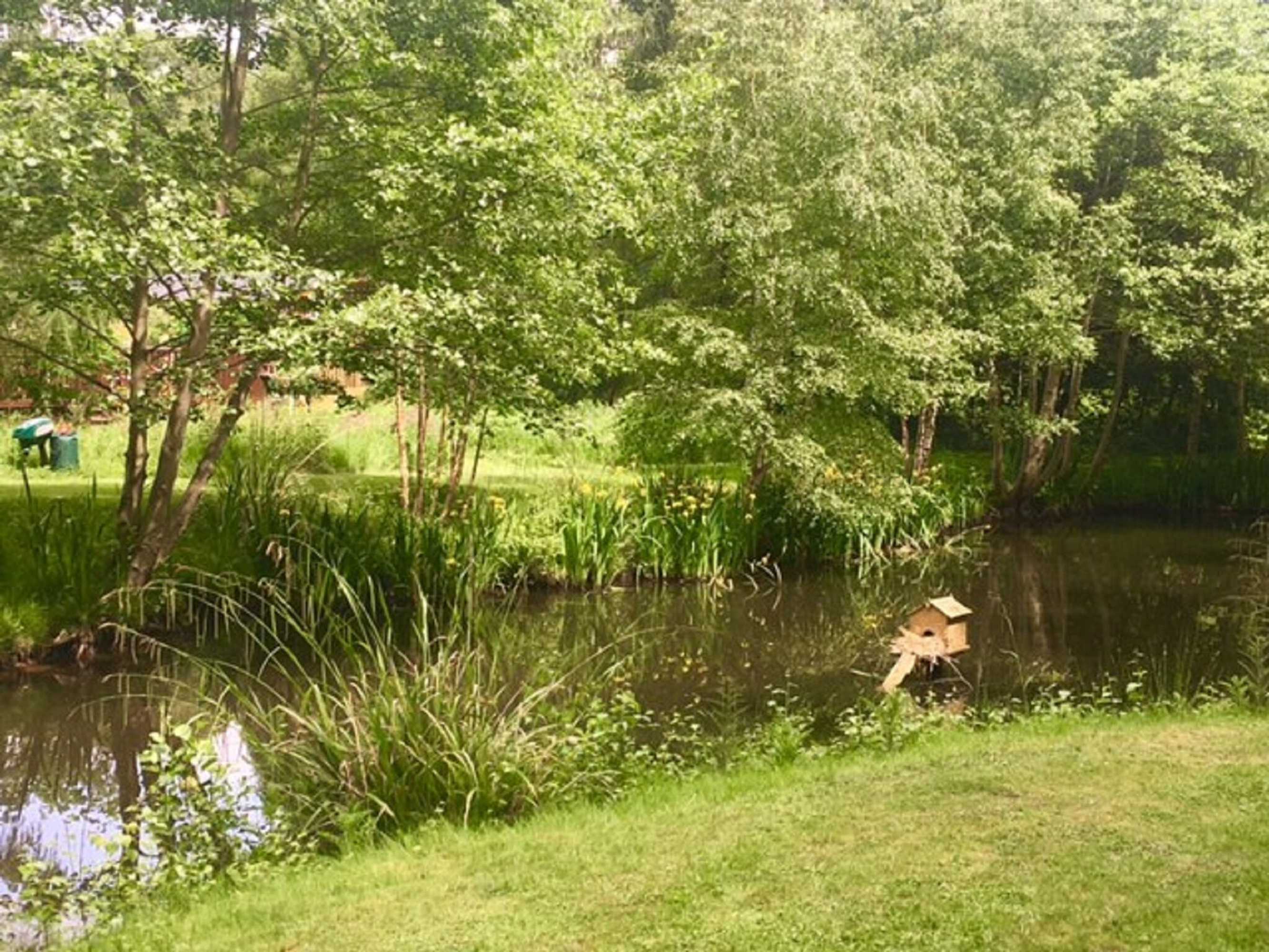 Gift card for Hollicarrs - Lilypad Lodge