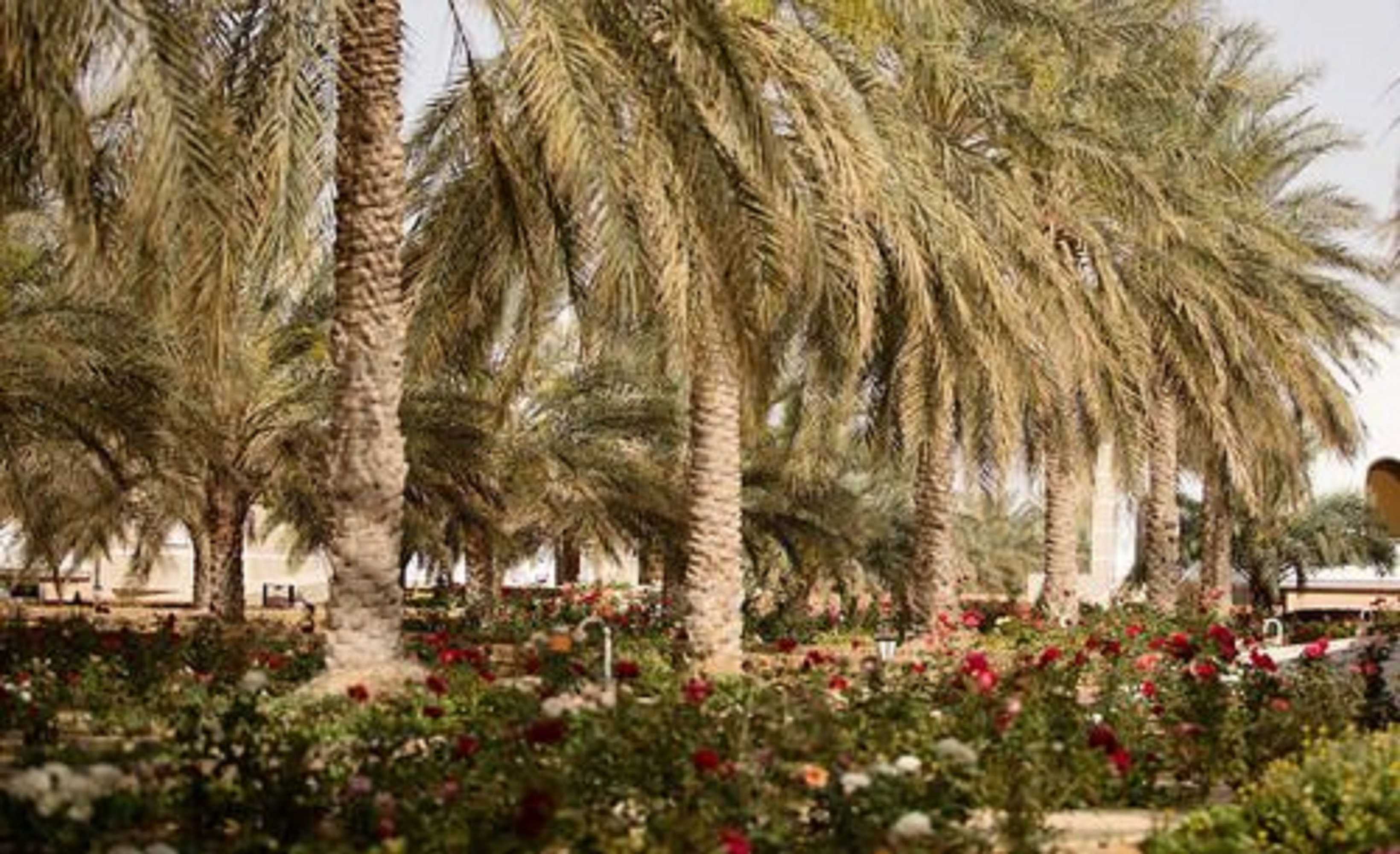 Gift card for La Gazelle D'or Resort & Spa Gift card for La Gazelle D'or Resort & Spa