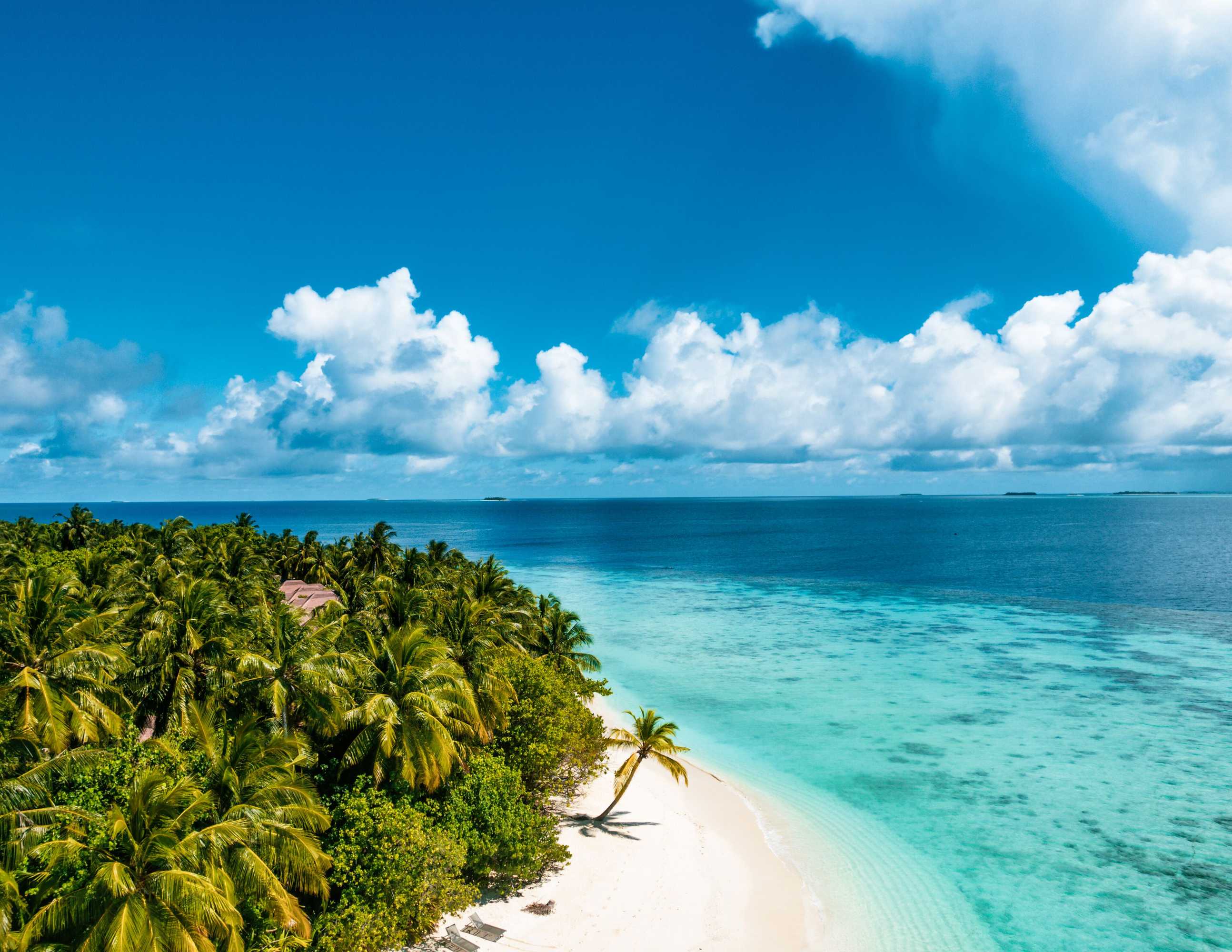 Gift card for Avani Plus Fares Maldives Resort - 50 Percent Off on Seaplane Transfer For Stays Until 22 December 2024 Gift card for Avani Plus Fares Maldives Resort - 50 Percent Off on Seaplane Transfer For Stays Until 22 December 2024