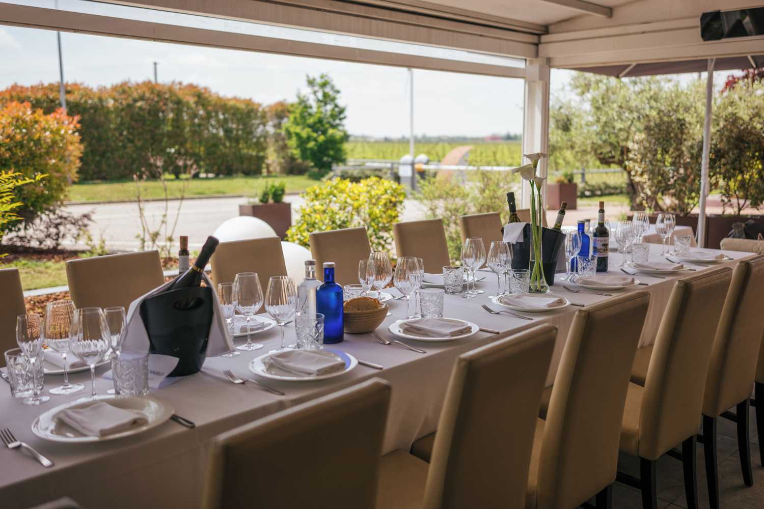 Gift card for Agriturismo Podere Dell'angelo