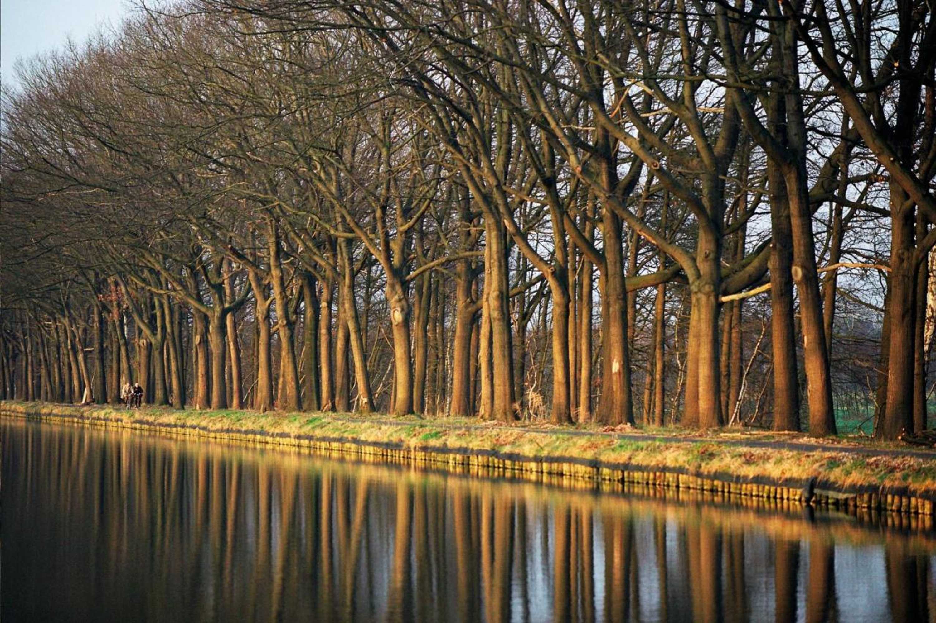 Gift card for Hotel Sunparks Kempensen Meren