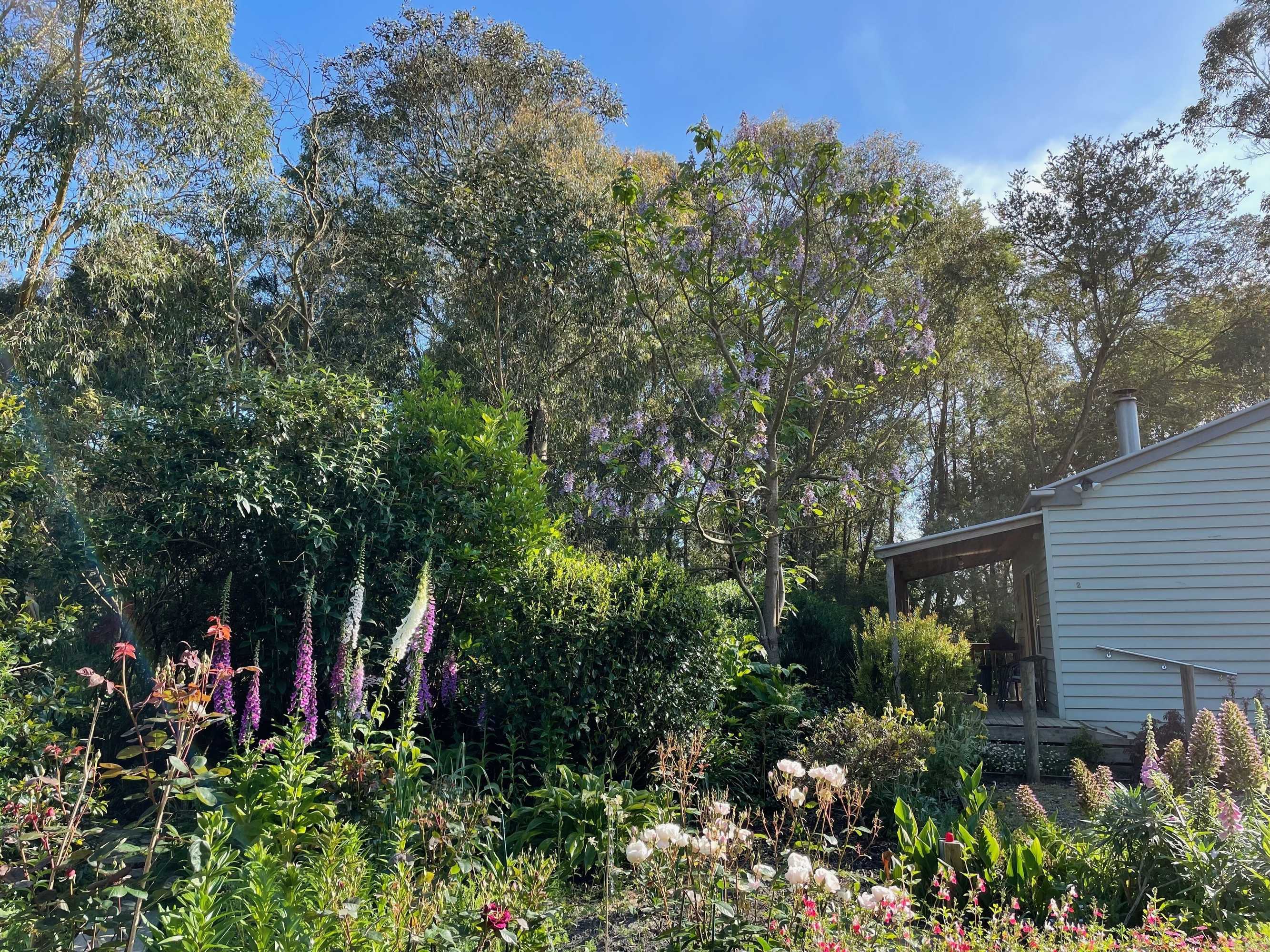 Gift card for Tindoona Cottages