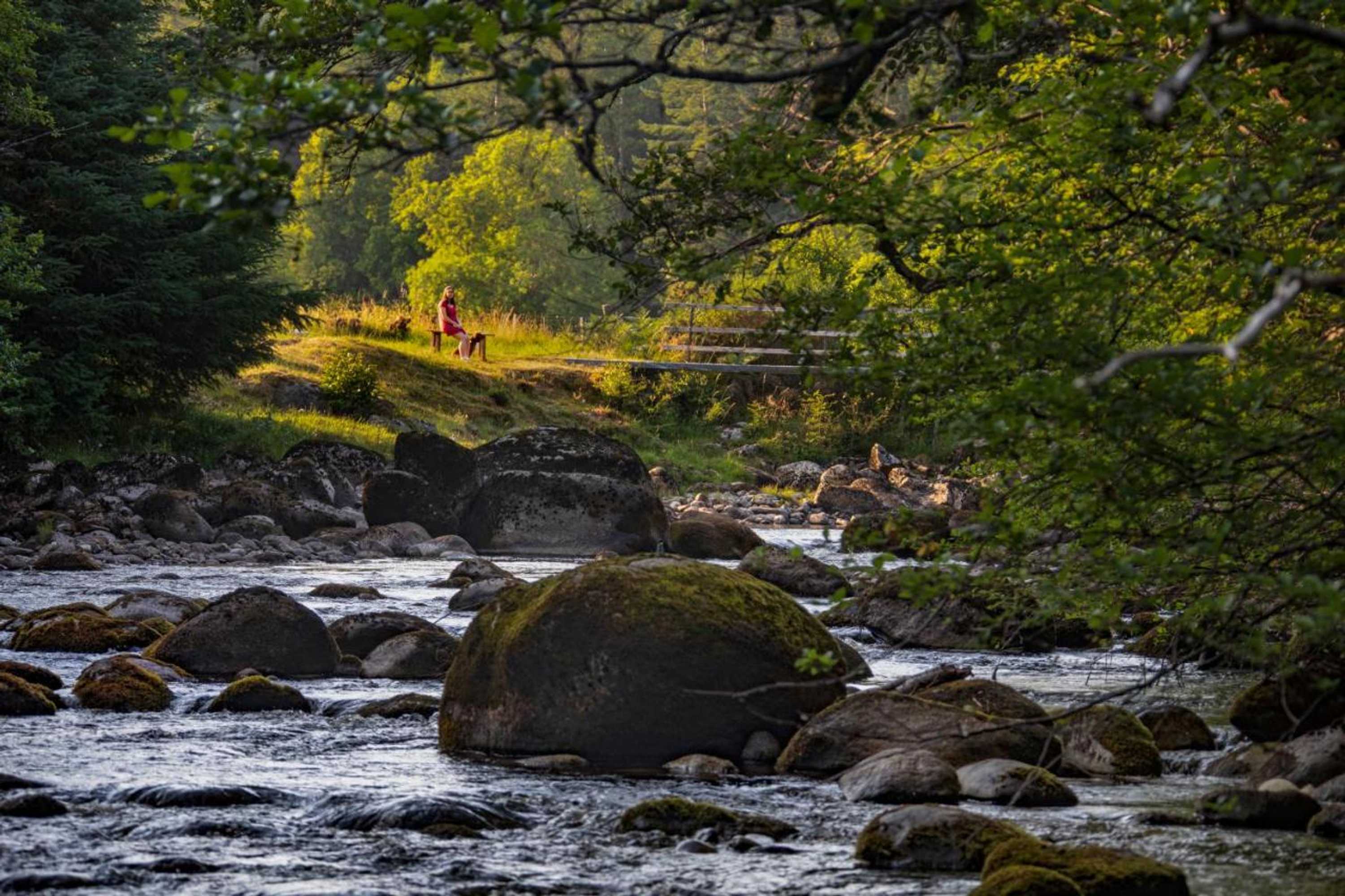 Gift card for Cuillich Mill Bed And Breakfast in The Highlands