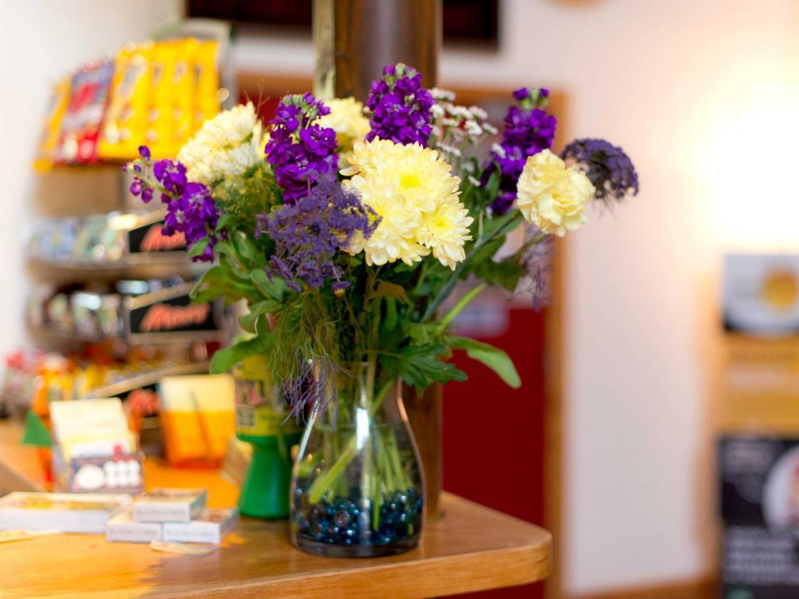 Gift card for Yha London Lee Valley - Hostel