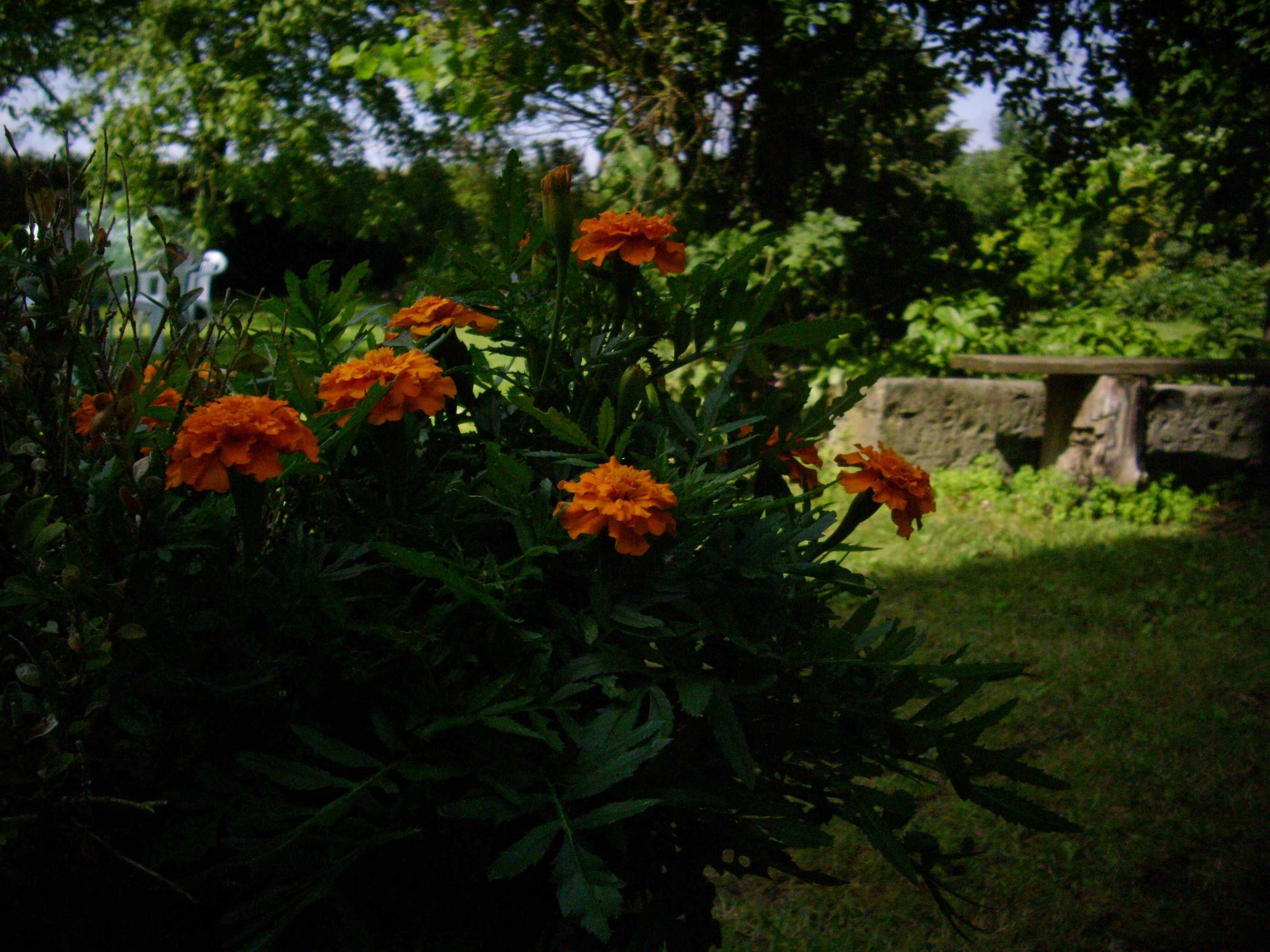 Gift card for Home in The Flemish Ardennes Between The Meadows Gift card for Home in The Flemish Ardennes Between The Meadows