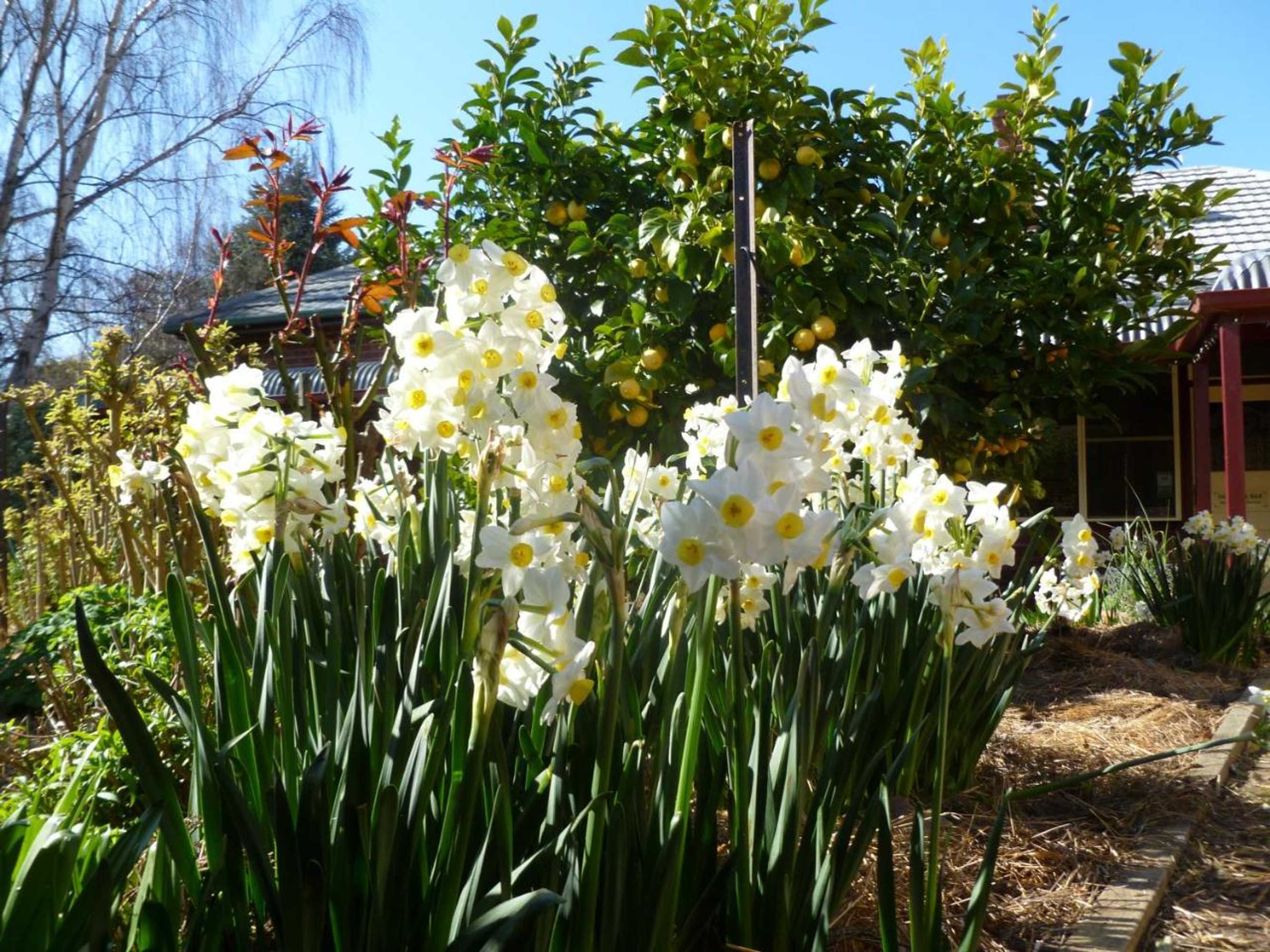 Gift card for Donalea Bed & Breakfast