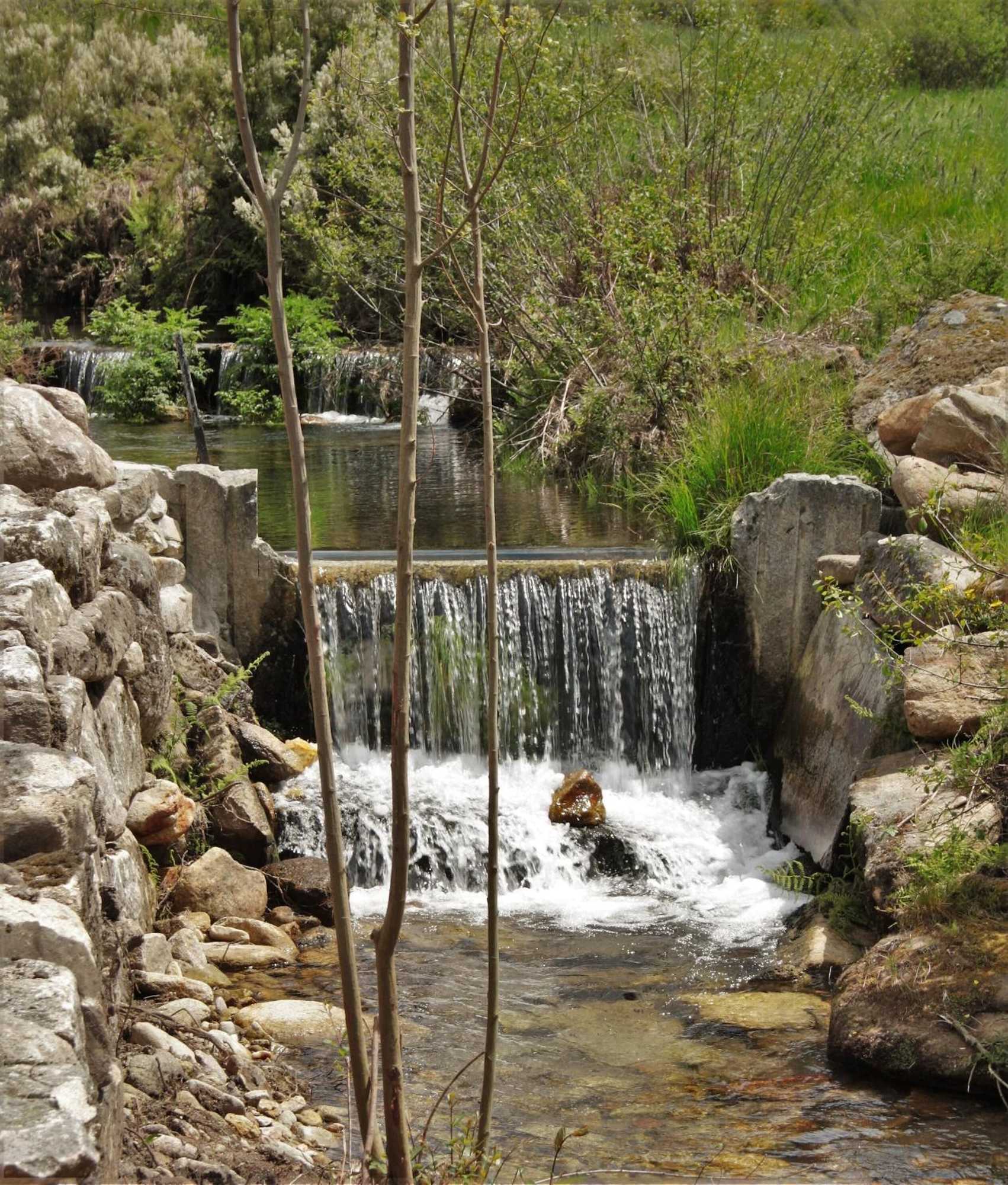 Gift card for Moinhos da Tia Antoninha