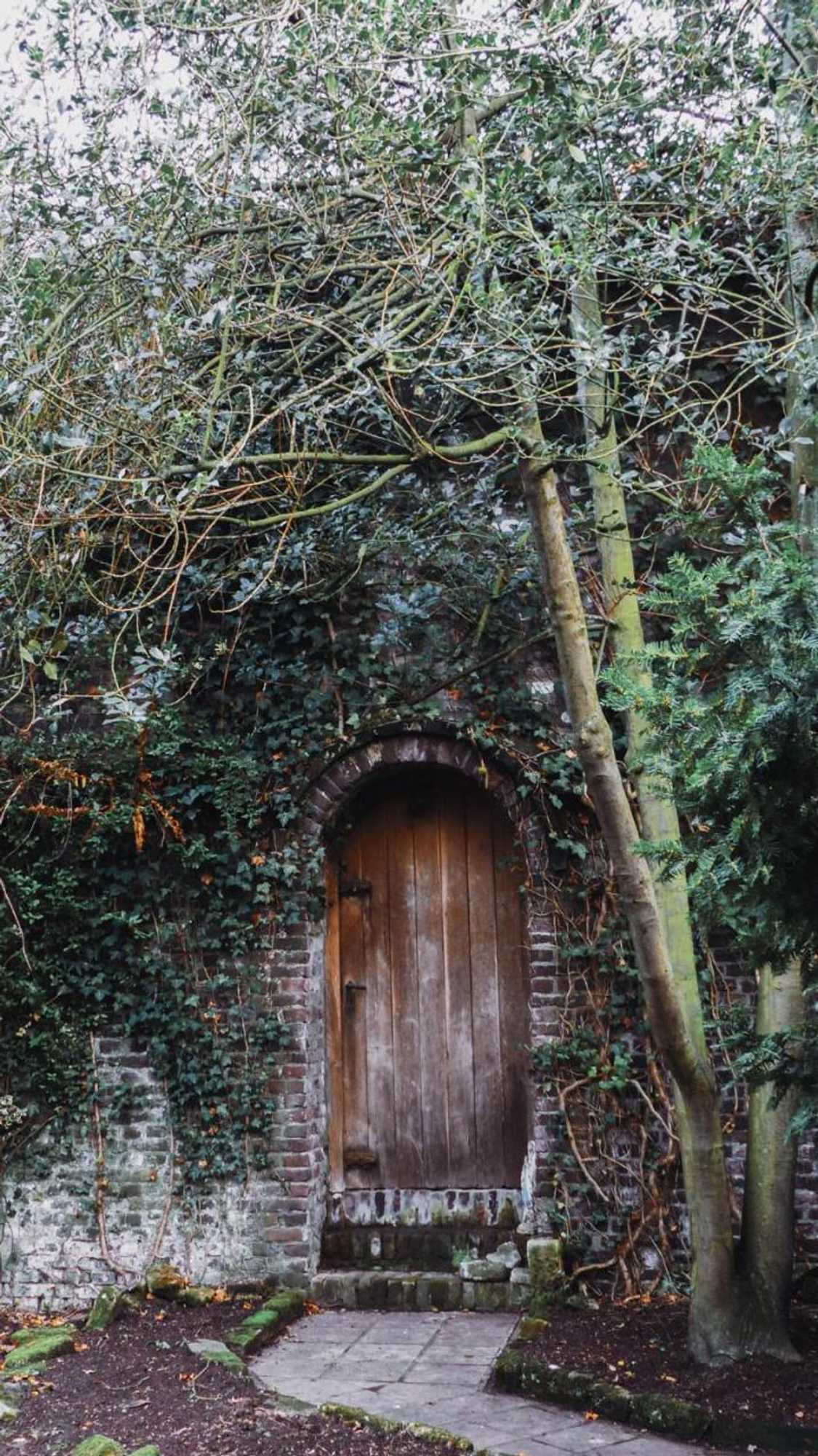 Gift card for B&b Willem II