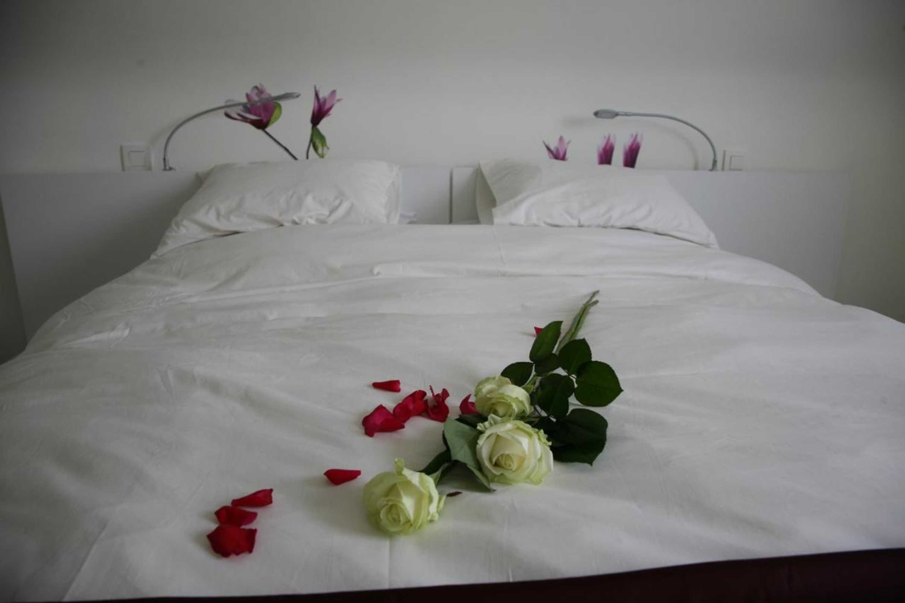 Gift card for B&b Kanegem Onverbloemd
