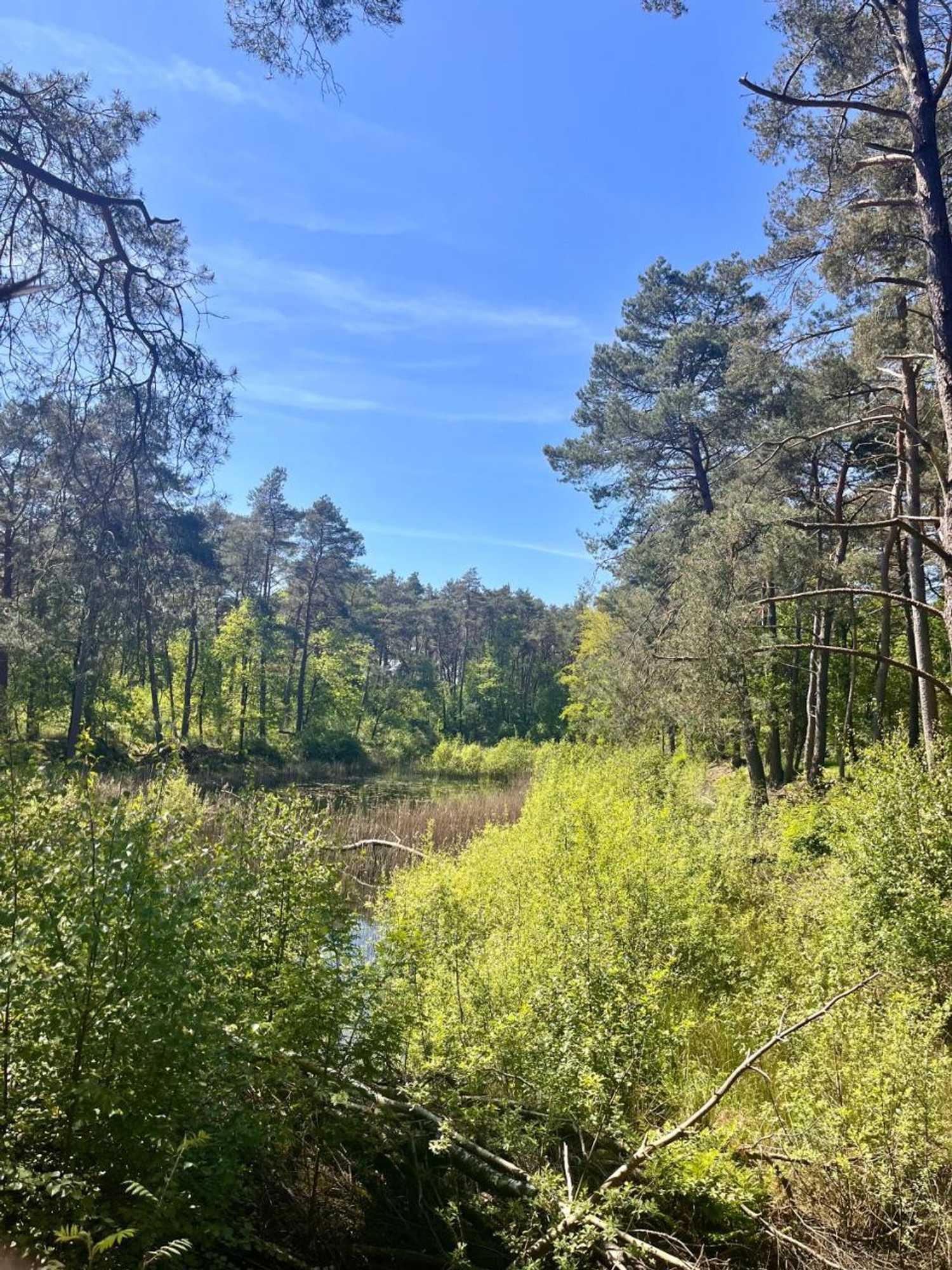 Gift card for De Veurdeale