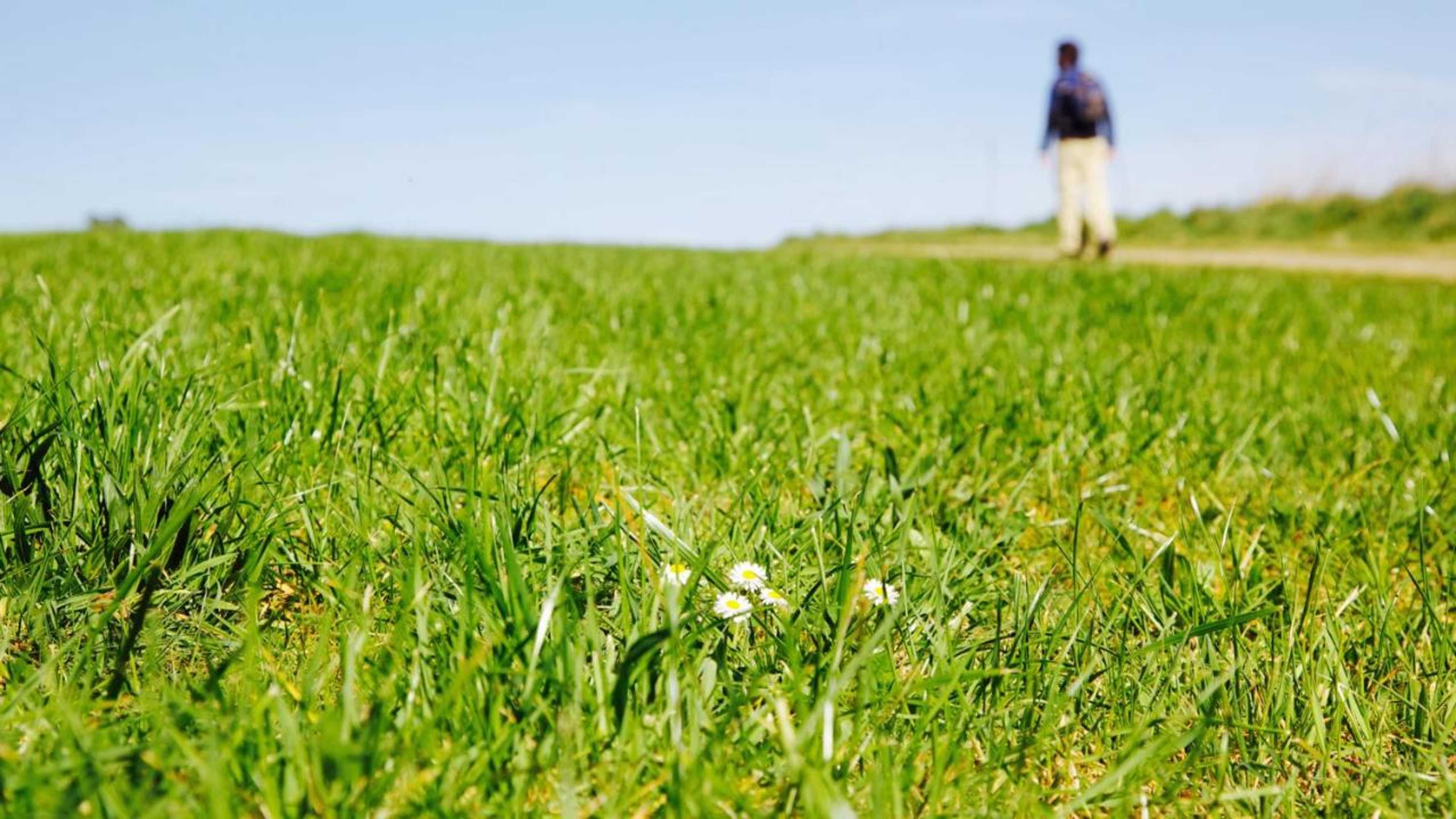 Gift card for Ideas Peregrinas