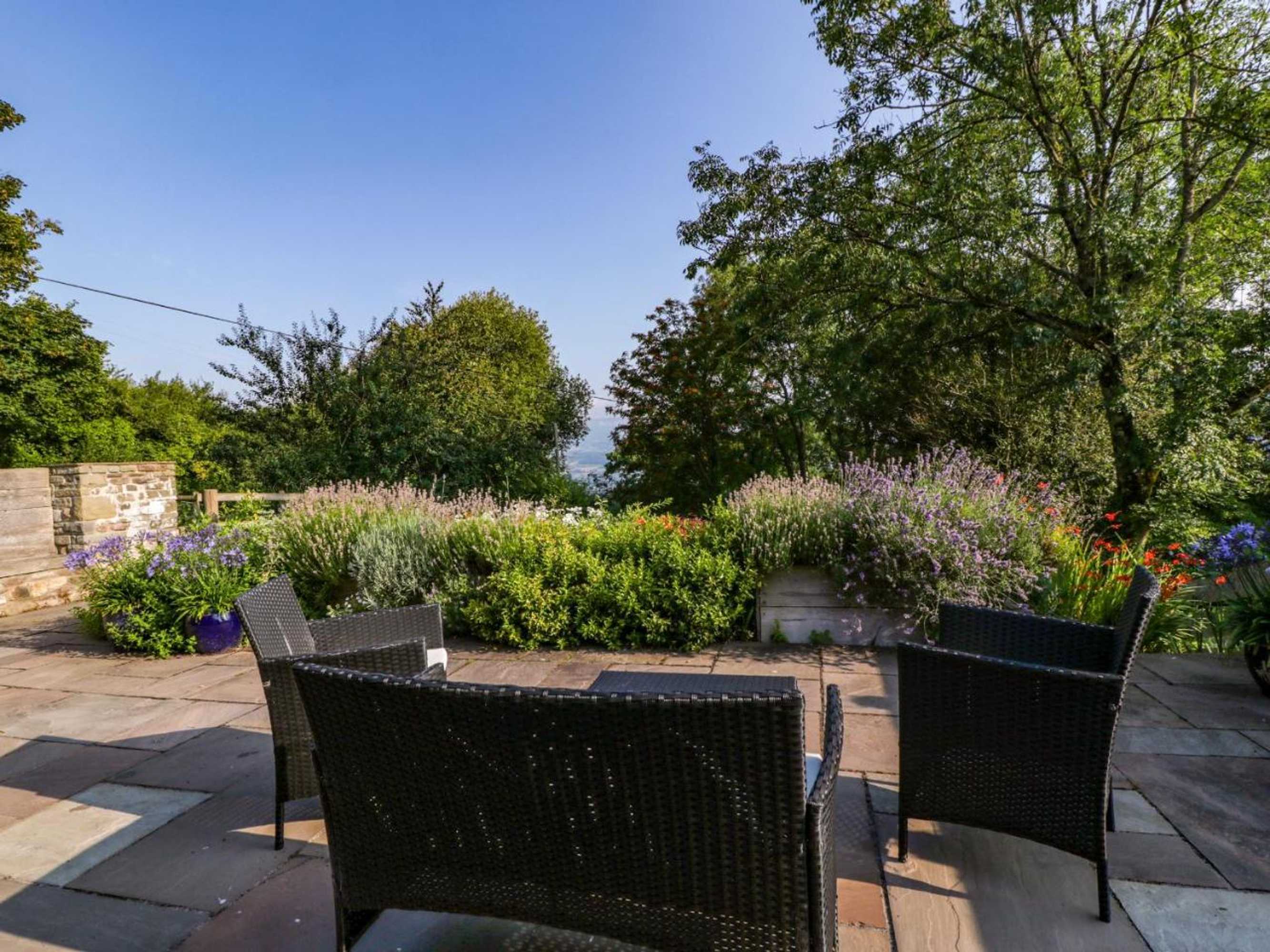 Gift card for Black Cat Bach