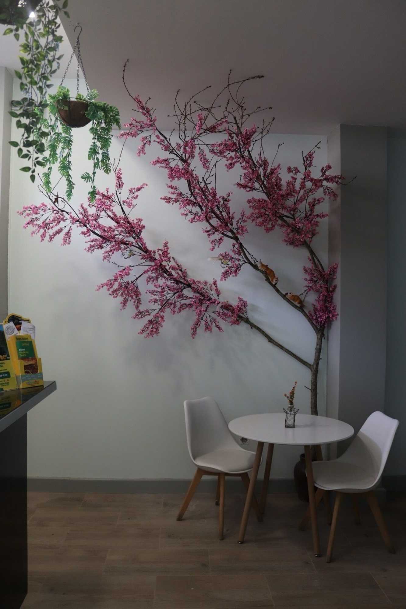 Gift card for Mirandesa Garden Gift card for Mirandesa Garden