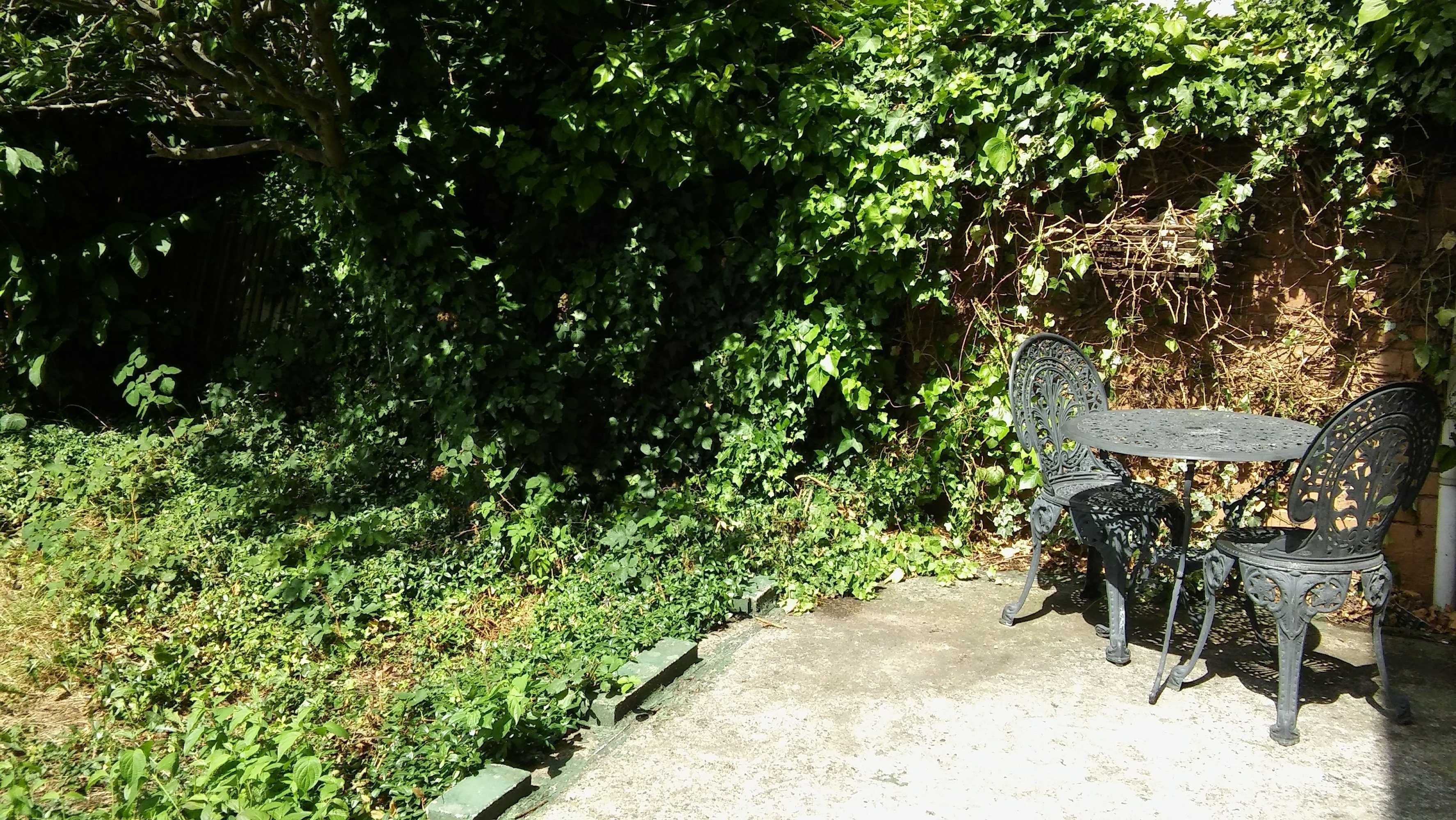 Gift card for Willodean