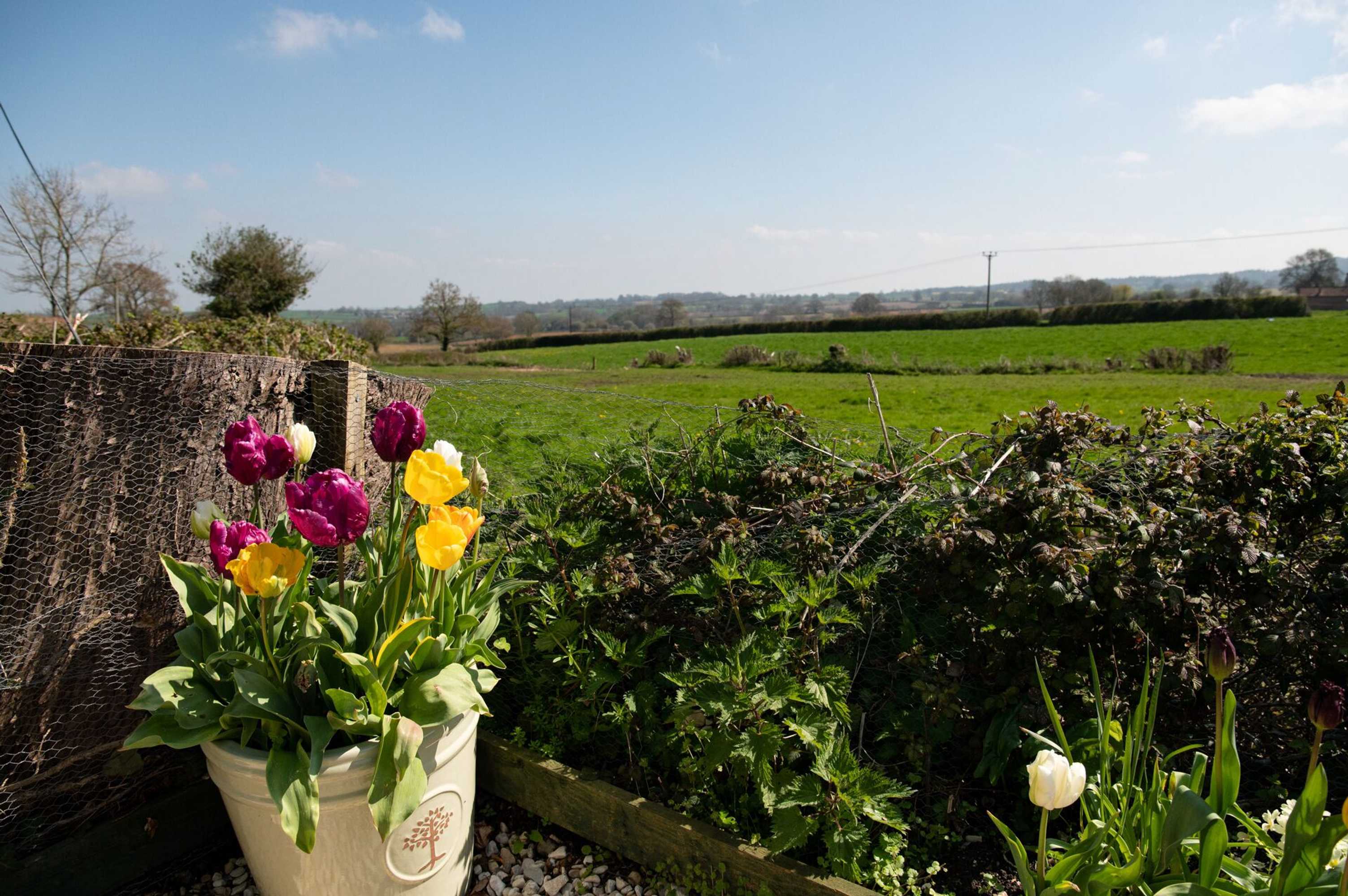 Gift card for Corner House